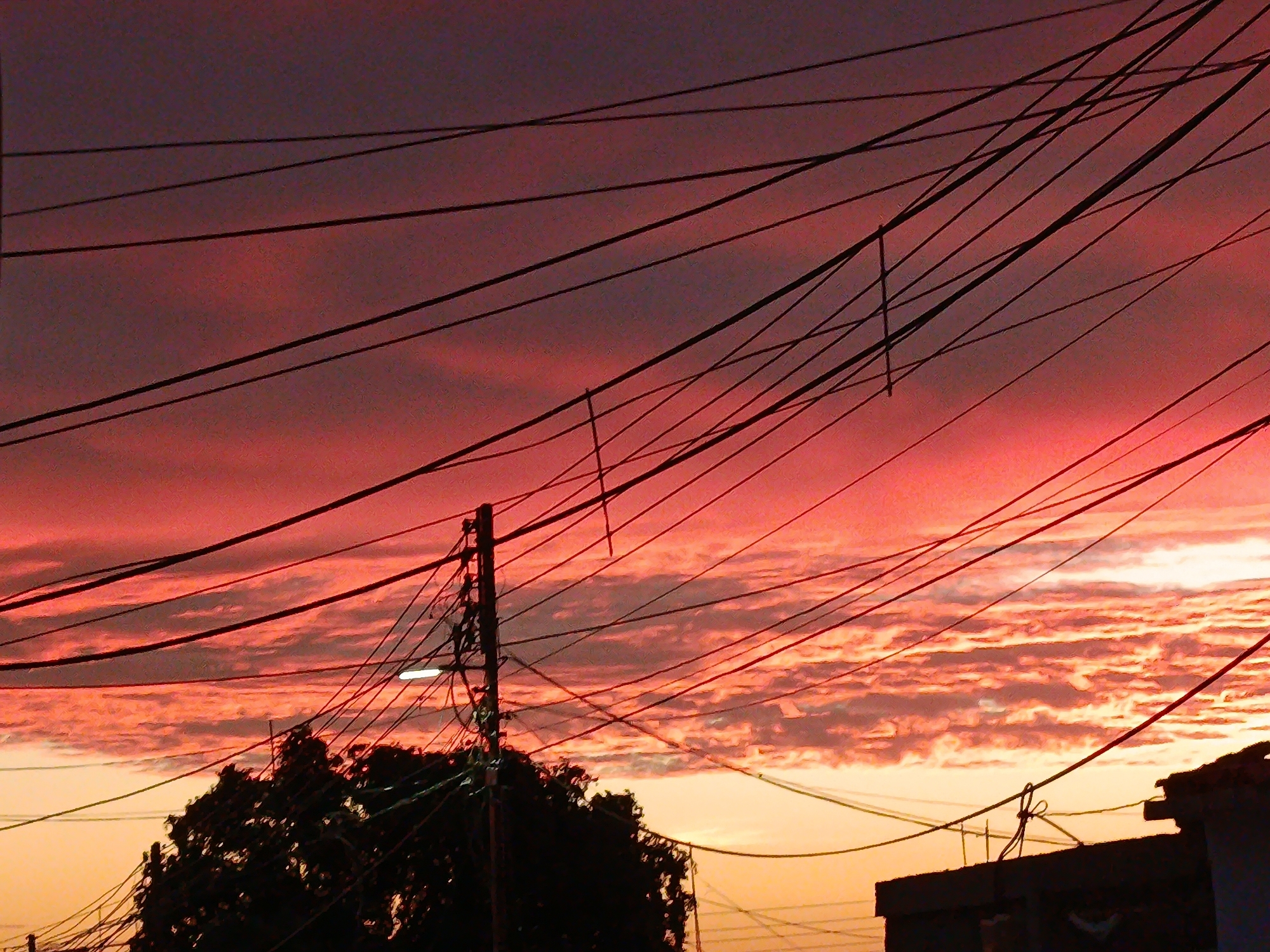 This is a medium-angle, eye-level, horizontal, color photograph of a dramatic sunset viewed from an urban environment in Juan Griego, Venezuela. The sky is filled with a gradient of deep purples at the top, transitioning to vibrant reds and oranges closer to the horizon. Wispy clouds are illuminated by the setting sun, creating texture and depth in the sky.
Dominating the foreground and midground are numerous tangled power lines, crisscrossing the frame in a dense network. These lines are silhouetted against the brightly colored sky and are the primary visual element. A dark silhouette of a tree is visible in the lower left portion of the image, its branches also obscured by the power lines.
A utility pole with an attached street light is centrally located in the midground. The pole is also silhouetted, and various wires are attached to it, extending in multiple directions. In the lower right, the dark, angular silhouette of a building rooftop is visible, with more power lines strung across it.
The overall impression is one of urban life set against a striking natural phenomenon, with the man-made infrastructure of power lines and buildings starkly contrasted against the beauty of the sunset. There are no people visible in the image. The scene is static, with no visible actions or interactions.