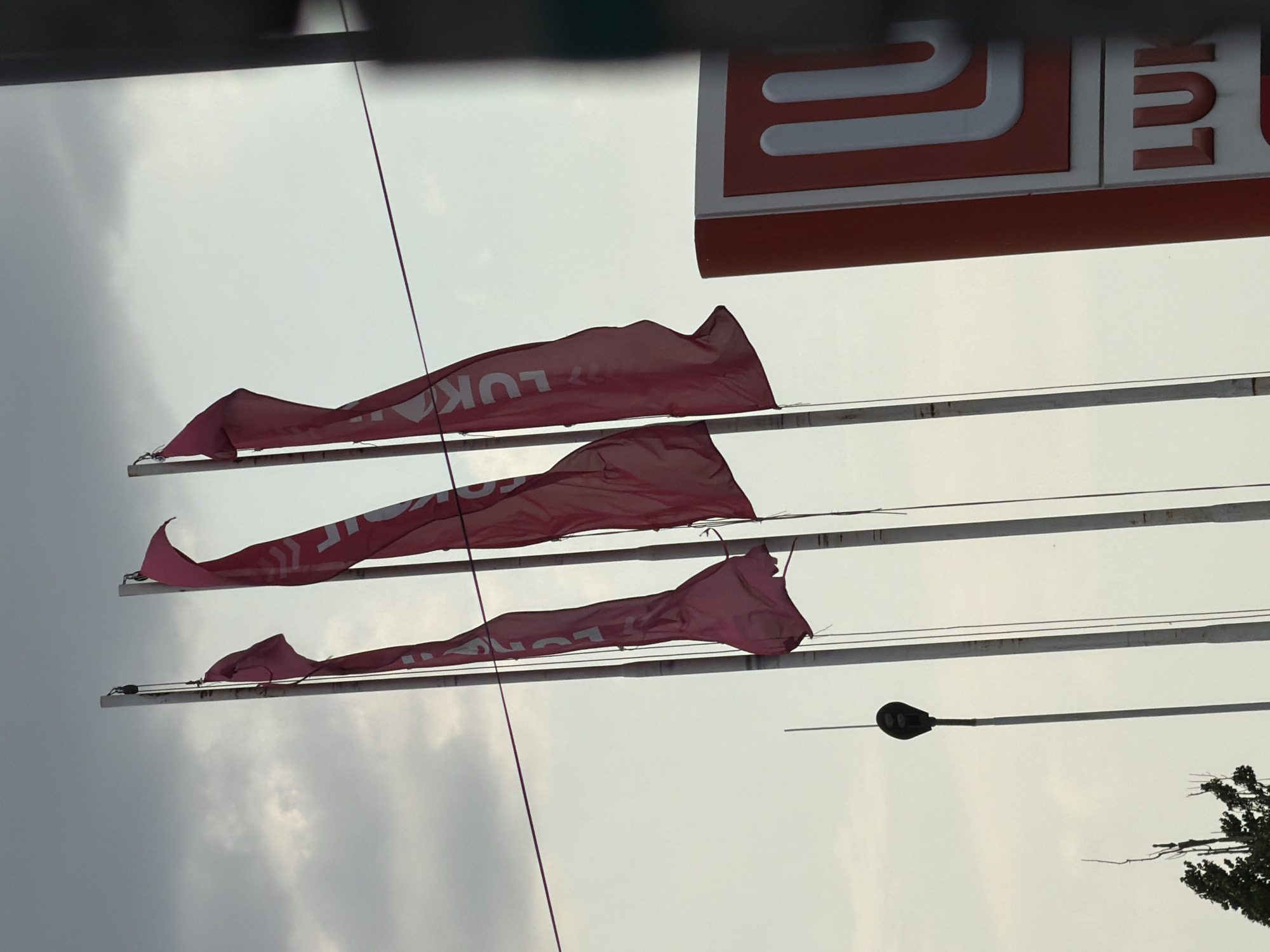In Căușeni, Moldova, three large, pink flags are fluttering against a cloudy sky. The flags are attached to poles and have white lettering that appears to spell out "LUKOIL." To the right of the flags, a partial view of a red and white sign with the same "LUKOIL" logo is visible. In the lower left of the image, a street lamp on a tall pole and some dark green foliage from trees are present. The scene appears to be outdoors, likely near a roadside or commercial area.