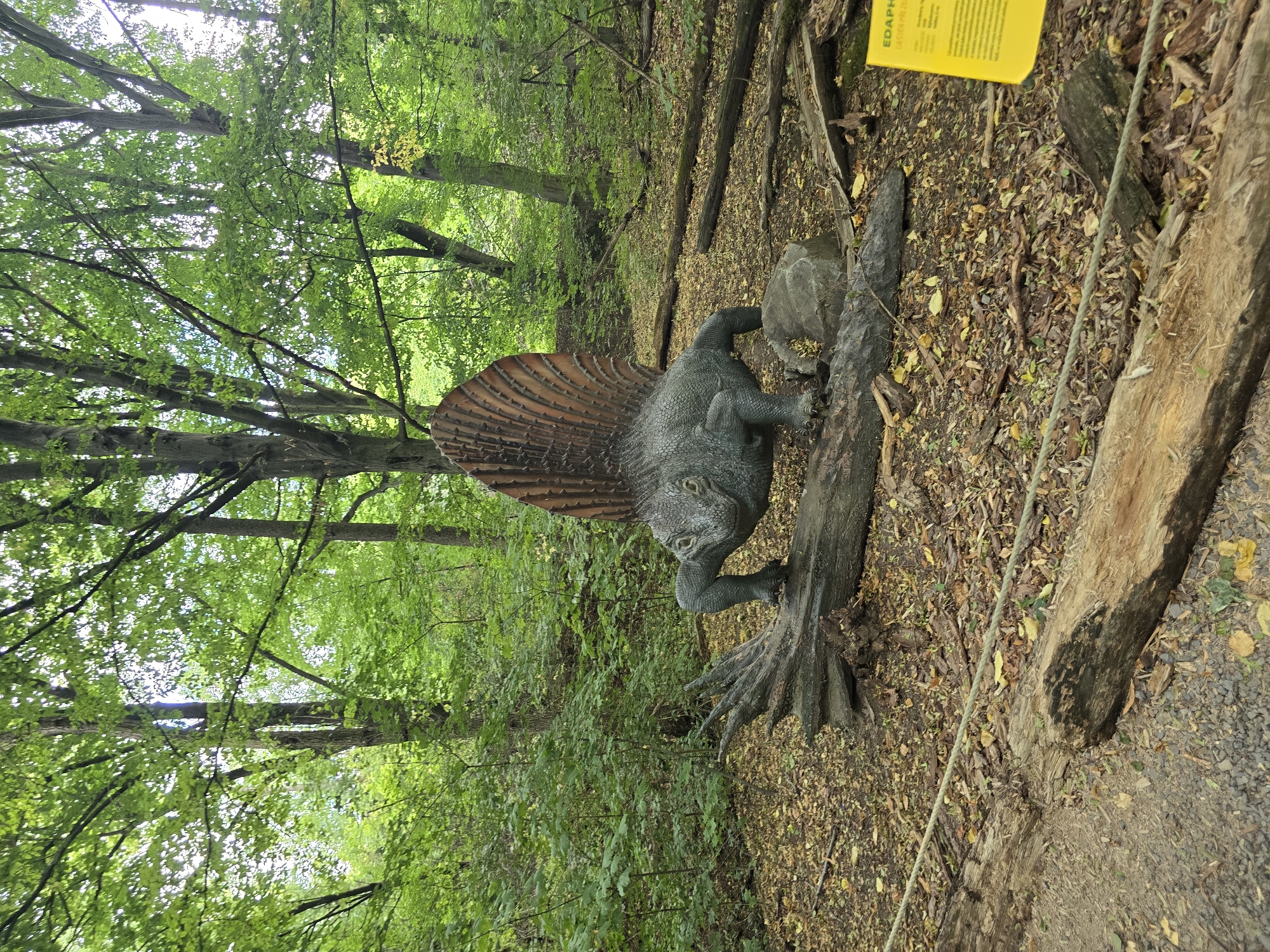 The image shows a full-body model of an Edaphosaurus, a prehistoric reptile, displayed in a forest environment. The model is positioned on a fallen log, with its distinctive sail-like dorsal structure prominently visible. The surrounding area is characterized by dense green foliage, numerous trees, and a forest floor covered in fallen leaves and branches. A yellow informational sign with the text "EDAPHOSAURUS" and "DESERT PRIZE" is partially visible on the right side of the image. The scene appears to be an outdoor exhibit, possibly within a park or nature reserve in Vyškov, Czechia, designed to educate visitors about prehistoric life. No people are present in the image.