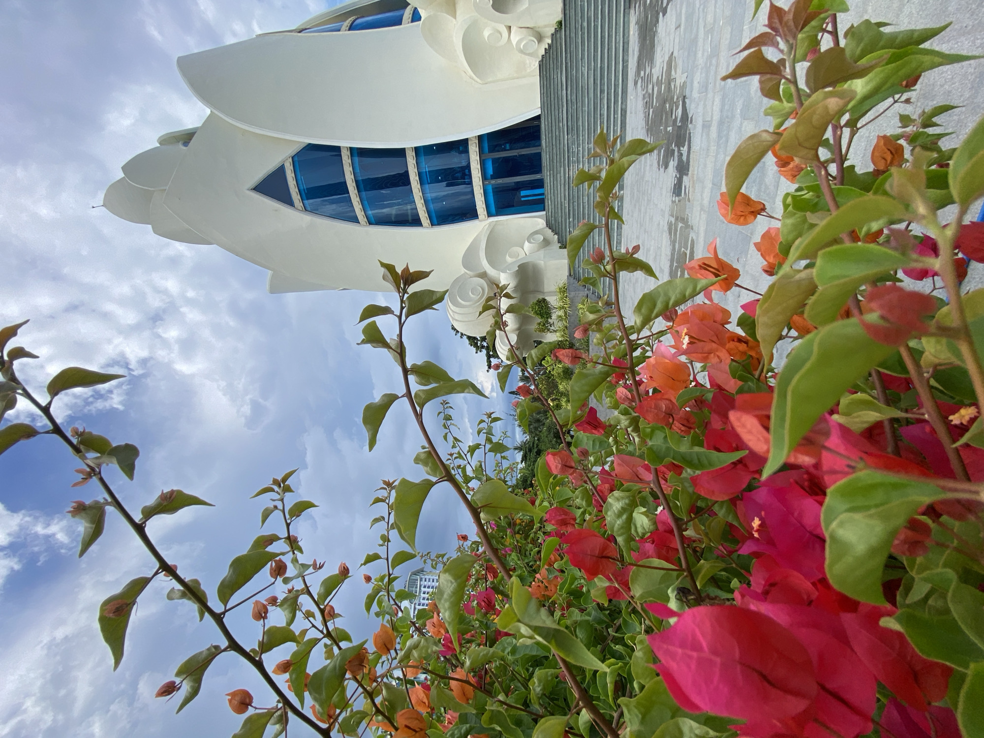 The image captures a low-angle shot of a white, petal-shaped building with blue windows, likely a modern architectural landmark, with a foreground of vibrant pink and orange bougainvillea flowers and green leaves. The building's unique design features curved elements and a prominent staircase leading up to its entrance. In the background, a cloudy sky looms overhead, with a hint of other buildings and trees suggesting an urban or resort setting. The scene appears to be set in a public space, possibly a garden or courtyard, in Nha Trang, Vietnam, given the presence of tropical flowers and modern architecture often found in the city. No people are visible in the frame.
