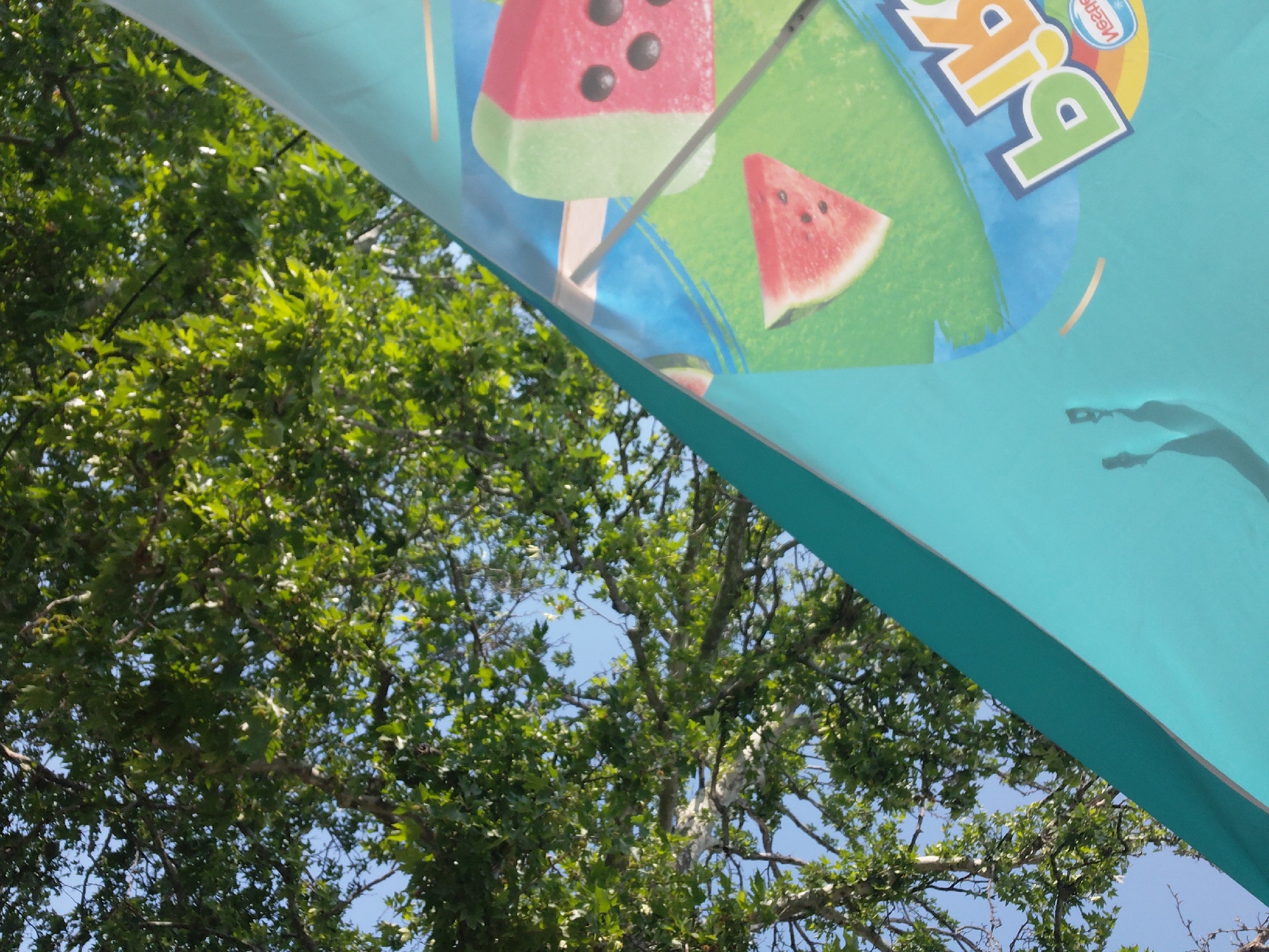 The image displays an upward-angled view, diagonally divided into two primary sections by the prominent edge of a teal-colored canopy or umbrella. The upper-left section is occupied by the underside of this canopy, which features mirrored commercial graphics. These graphics include a partial, reversed "Nestle" logo, the reversed word "PiP," an illustration of a triangular watermelon slice with black seeds, and a depiction of a rectangular watermelon-themed ice cream bar on a stick. A thin, grey metallic support pole for the canopy extends diagonally from the lower-left, partially obscuring the ice cream illustration. A faint, dark shadow, consistent with the outlines of two human heads and upper torsos, is cast upon the upper-right area of the teal canopy surface.
The lower-right section of the image shows a clear blue sky, which is predominantly obscured by the dense green foliage and intertwining branches of several deciduous trees. The overall lighting is bright, indicating a sunny outdoor environment. No human subjects are directly visible, and no specific actions or interactions are depicted within the frame. The scene is located in the city of Unknown, Unknown.