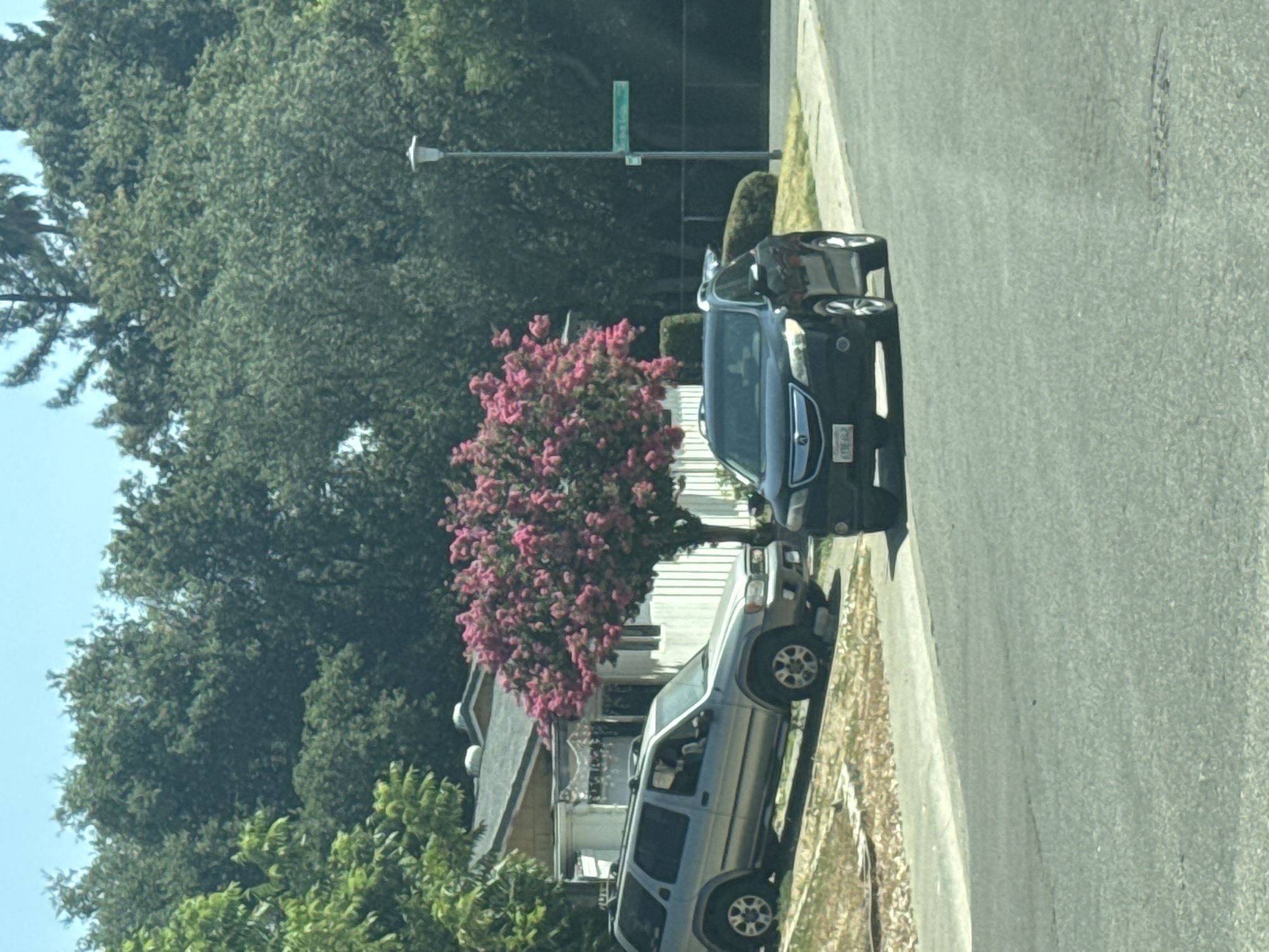A silver SUV is parked on a sloped driveway in front of a white house. A flowering tree with pink blossoms is situated between the SUV and the house. A dark SUV is parked on the street in front of the driveway, facing away from the camera. The scene is set in a suburban neighborhood with lush green trees and a blue sky. A street sign is visible in the background, indicating a city street. The image appears to be taken from inside a vehicle.
