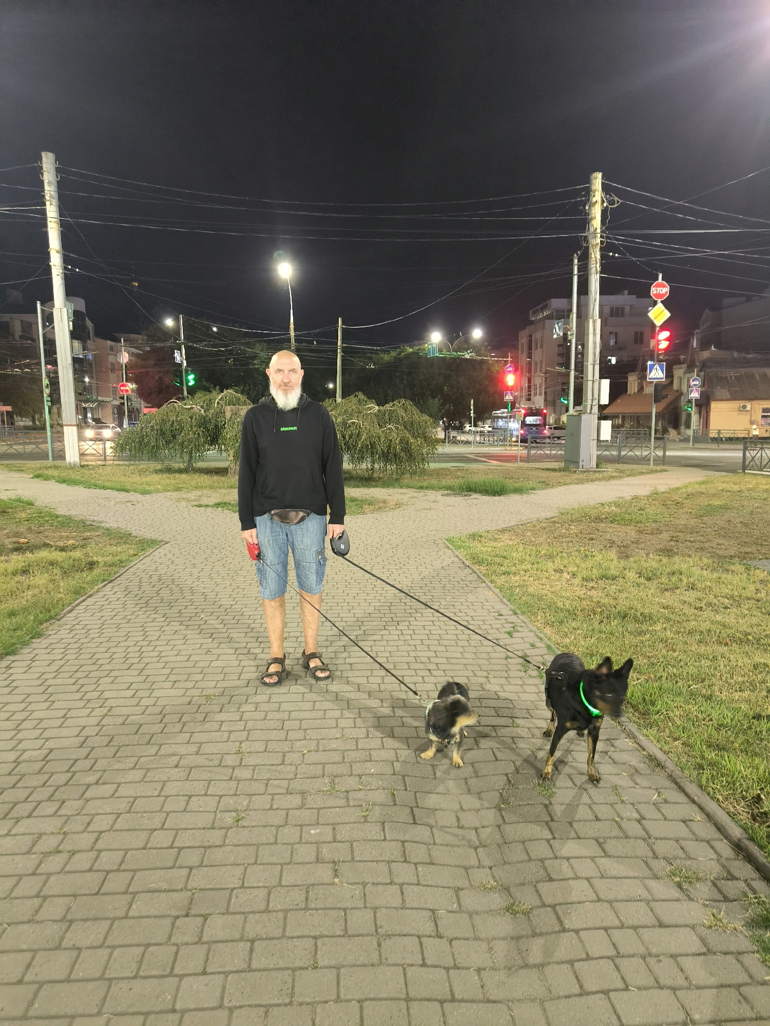 A bald, bearded man stands on a paved walkway at night, holding two leashes attached to two small dogs. He is wearing a black hoodie, denim shorts, and sandals. A dark fanny pack is around his waist. The larger dog is black with brown markings on its legs and wears a green luminous collar. The smaller dog is brown and black and wears a patterned collar. The walkway appears to be in a park or a public space, with grass and trees to the sides. In the background, there are streetlights, traffic lights, power lines, and buildings, suggesting an urban setting. The traffic lights indicate red and green. The scene is well-lit by artificial light. The man appears to be taking the dogs for a walk.