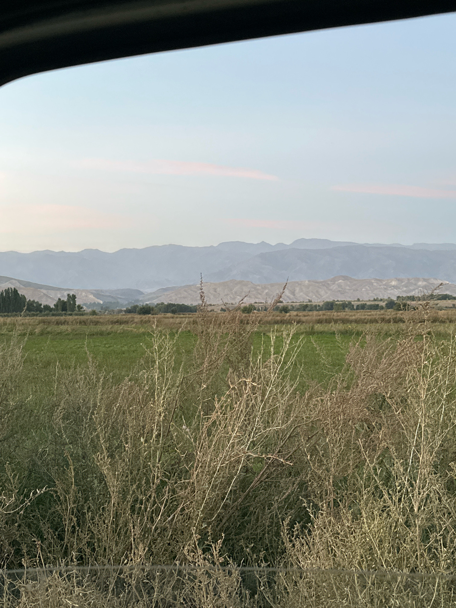 The image shows a rural landscape. In the foreground, dry, twiggy bushes are prominent. Beyond the bushes is a green field, likely farmland. In the middle ground, there are trees and a gently rolling, arid landscape with some arid hills. In the background, there are layers of mountains that fade into the haze. The sky is a pale blue with a few wisps of pink clouds. The scene is devoid of people. The lighting suggests it is either early morning or late afternoon. The location is identified as near the village of Tash-Kuduk, Kyrgyzstan.