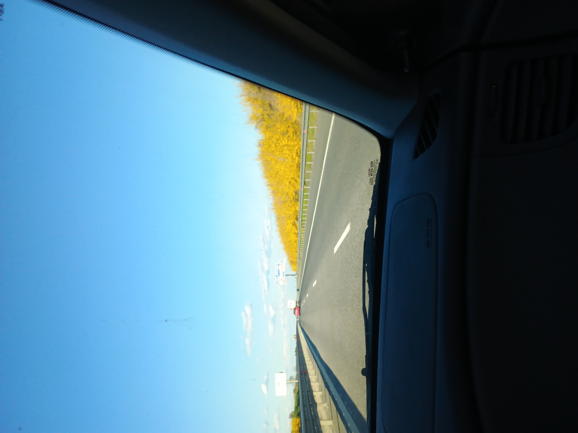 The image shows a view from inside a car traveling on a highway near Rupkite, Bulgaria. The sky is blue with scattered clouds. A line of yellow flowering trees runs along the side of the highway. A guardrail separates the trees from the road. A red car is visible in the distance. The interior of the car is visible on the right side of the frame, with the dashboard and air vents partially visible.