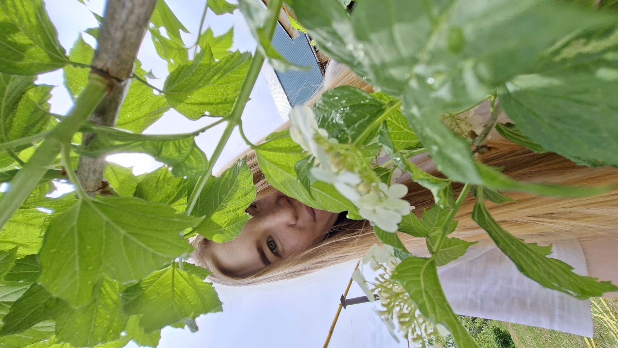 A low-angle shot shows a young woman with long blonde hair positioned upside down, looking towards the camera through foliage. Her face is partially obscured by green leaves and white flowers. A branch of a tree is visible with leaves and water droplets on the leaves. The background includes the sky, a blue building, and some greenery suggesting a garden or park-like setting. The location is Большой Букор, Russia.