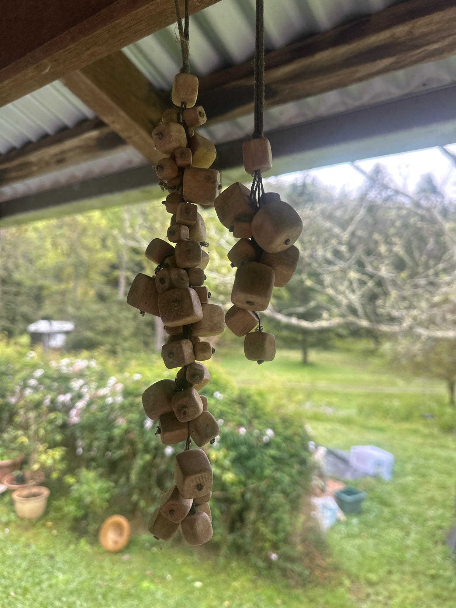 An outdoor scene with two strings of wooden beads hanging from a wooden beam and corrugated metal roof. The strings of beads are in the foreground, with the background blurred. The background shows a grassy area with some bushes and trees, and a small building in the distance. The overall impression is one of a rustic, natural setting. The wooden beads appear to be of various sizes and shapes, strung on twine. The location is in Thora, Australia, a rural area known for its natural beauty.