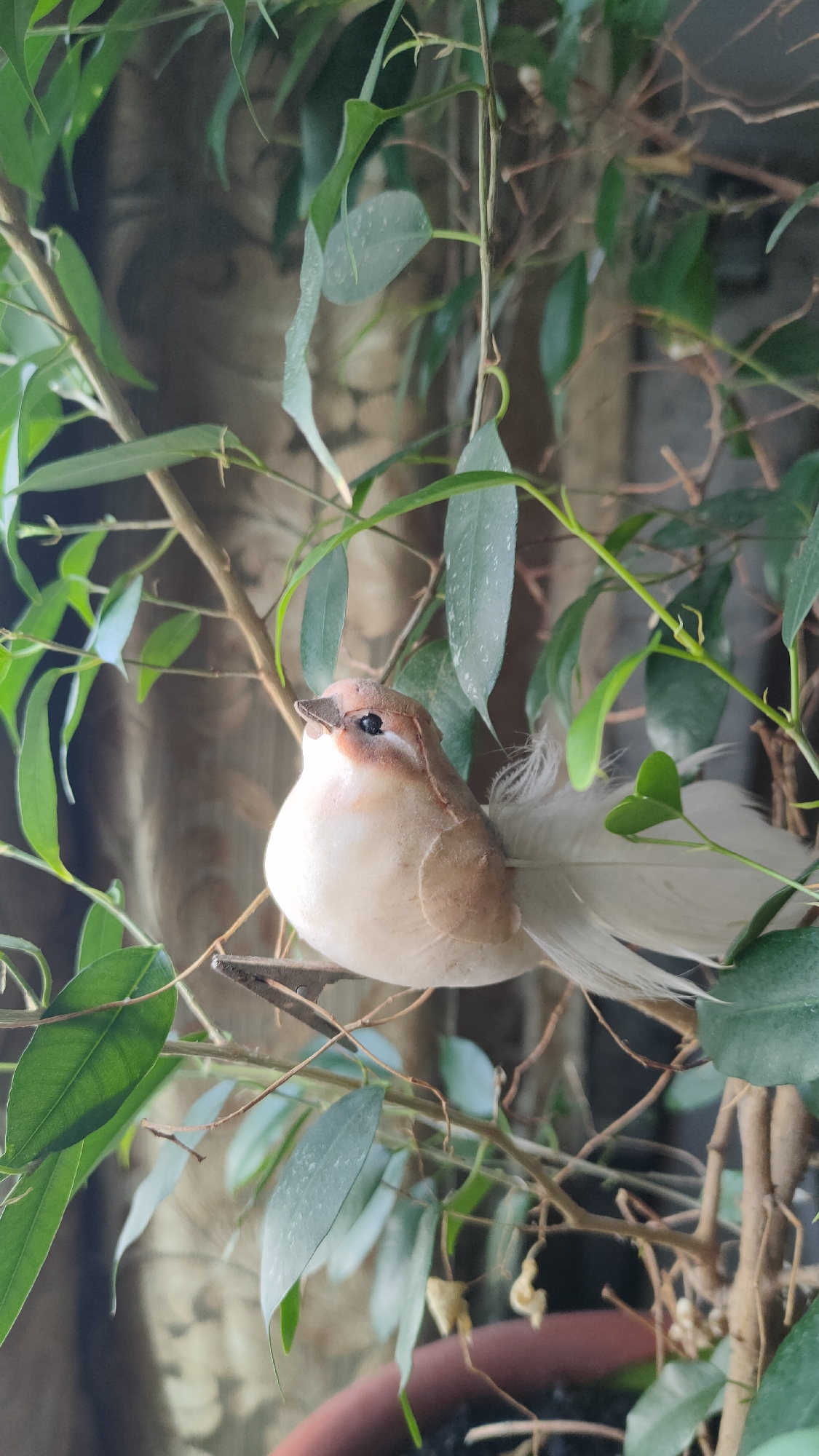 A decorative bird, made of fabric and feathers, is perched on a branch of a leafy plant. The bird is light brown and white with a small dark beak and a black eye. Its tail feathers are white and spread out behind it. The plant has thin brown branches and numerous green leaves. The background is out of focus, showing a textured, light brown surface that could be a curtain or wall covering. There is no indication of the city of Bolotnoye, Russia.