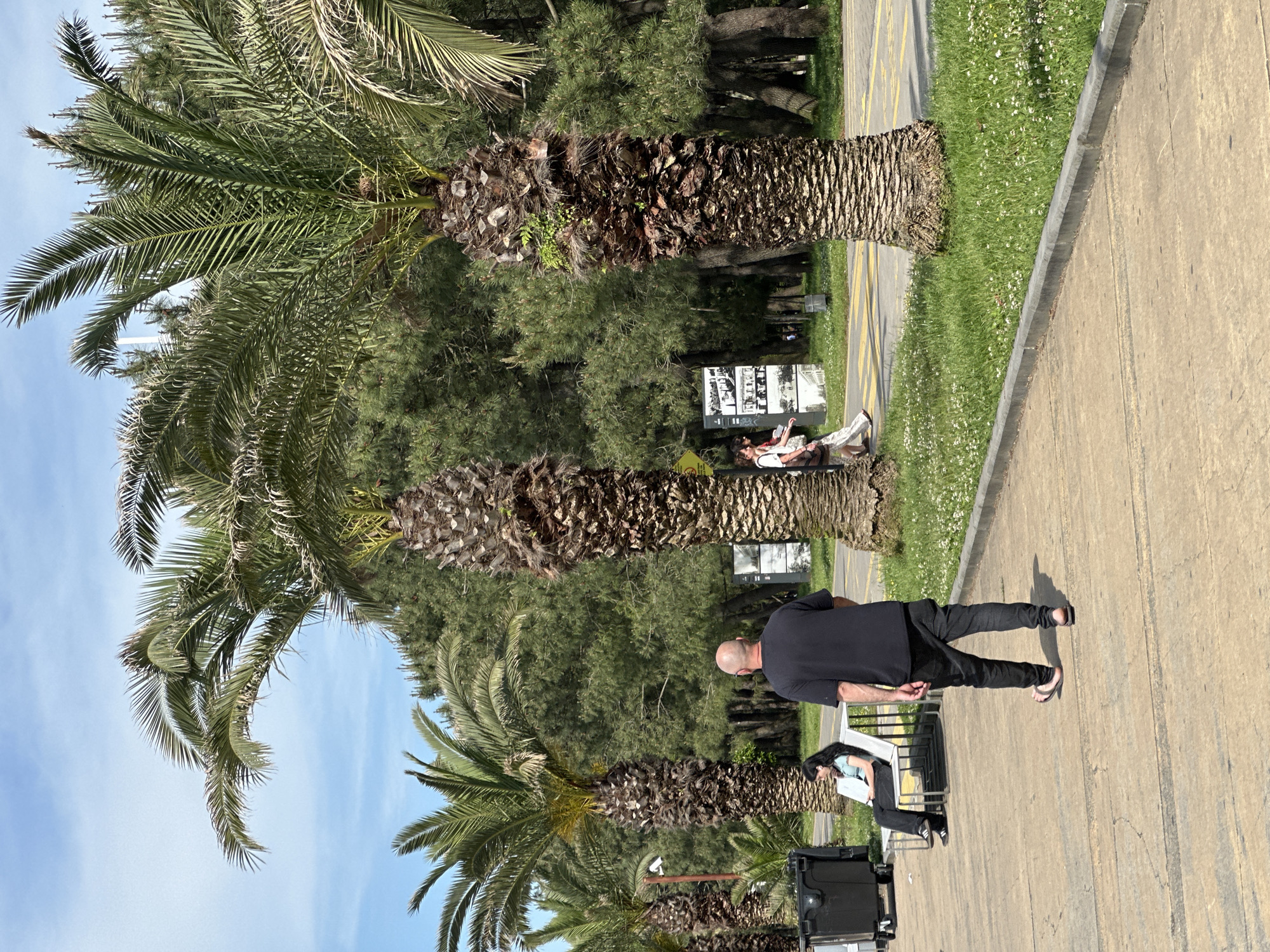 The image depicts a scene in Batumi, Georgia, featuring a paved walkway lined with palm trees. A bald man in a black t-shirt and pants walks along the path. To his left, a woman sits on a bench, appearing to read. A black container or equipment case is positioned near the bench. Behind them, a sign with images is visible. Further back, a grassy area separates the walkway from a denser section of trees. Two people are on a bench further back. The sky is blue, visible between the palm fronds.