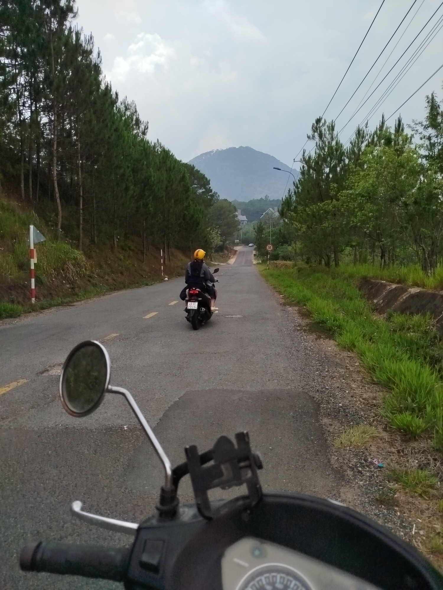 A road in Da Lat, Vietnam, is viewed from a motorcycle in motion. In the foreground is a motorcycle's handlebar, mirror, and dashboard. On the road ahead is another motorcycle with a rider wearing a yellow helmet. The road is flanked by trees on both sides. A mountain is visible in the distance under a cloudy sky. Utility poles and wires run overhead. A speed limit sign is visible further down the road. Markings and a signpost are seen along the roadside. Grass grows along the road's edge. The plate number of the front bike is 49-B2 255.94