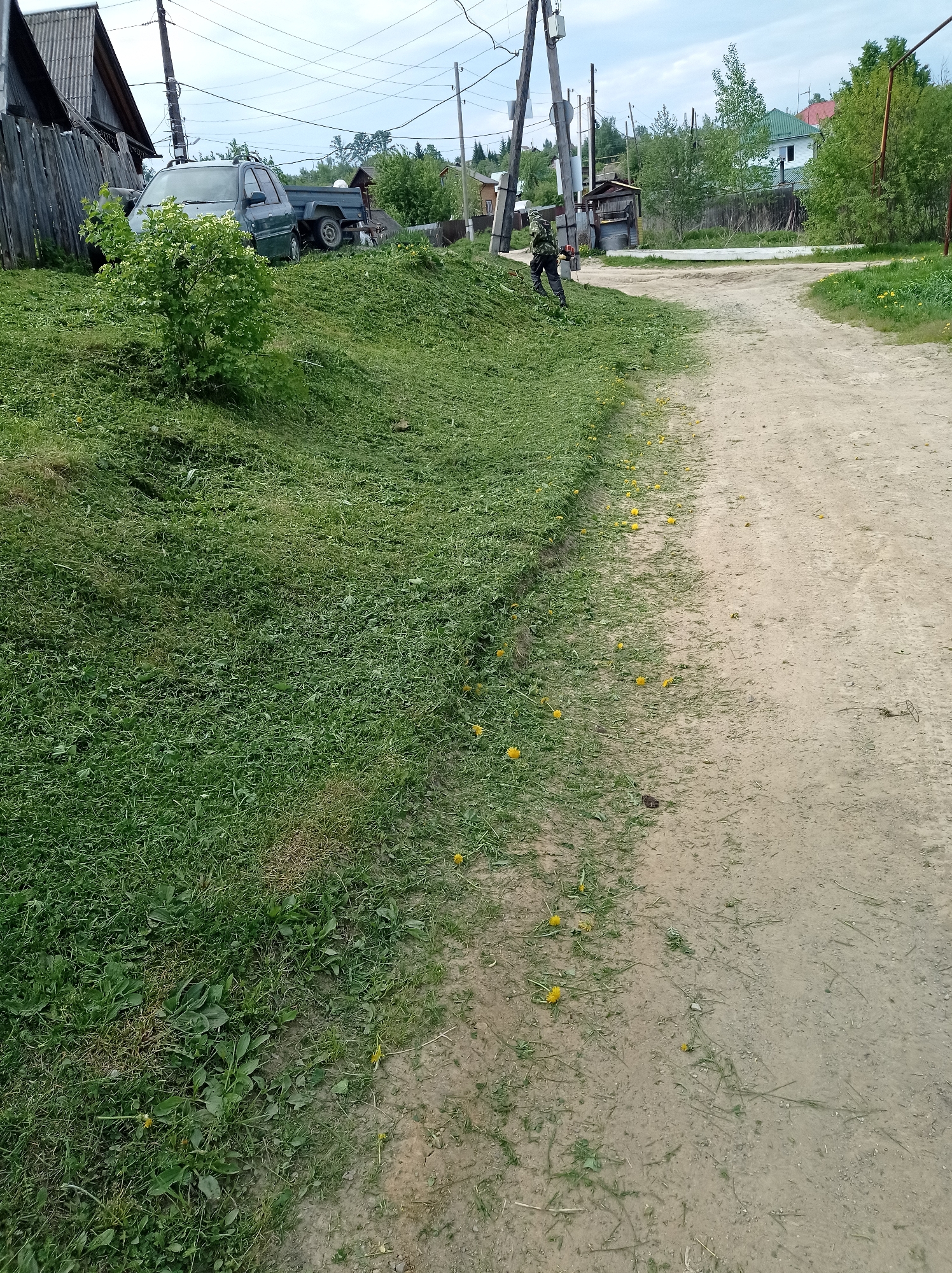 The image shows a street scene in Degtyarsk, Russia. A person is using a lawn trimmer to cut grass on a slope alongside a dirt road. A pickup truck with a trailer is parked on the slope behind a bush. A utility pole and overhead wires are visible. Scattered dandelions are present on the roadside. Houses and trees are visible in the background.