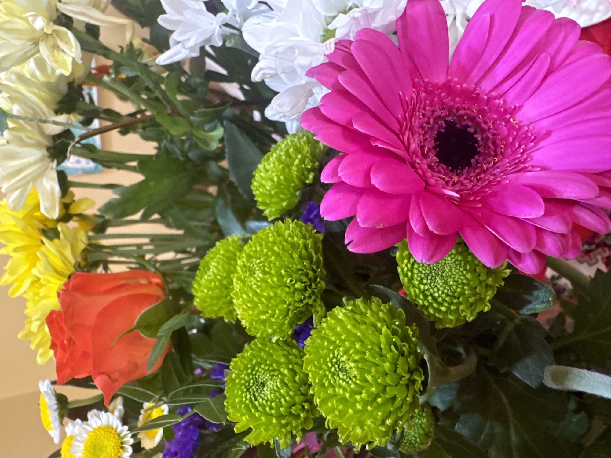 A close-up, vertical, eye-level shot features a vibrant floral arrangement. Dominating the foreground and right side is a large, bright pink Gerbera daisy with a dark center surrounded by delicate yellow stamens. To its left, a cluster of round, lime-green chrysanthemum blooms are visible. Behind these, an orange rose is partially visible, positioned to the upper left of the green flowers. Further back, yellow and white chrysanthemums, along with some delicate white daisy-like flowers and purple filler flowers, add to the bouquet's richness. Green foliage forms the backdrop for the blooms. The lighting is bright and even, highlighting the saturated colors of the flowers. The arrangement is indoors, with a warm, neutral-toned wall serving as the background. No people or specific urban details are discernible in this image, making it impossible to determine its location within Waterford, Ireland.