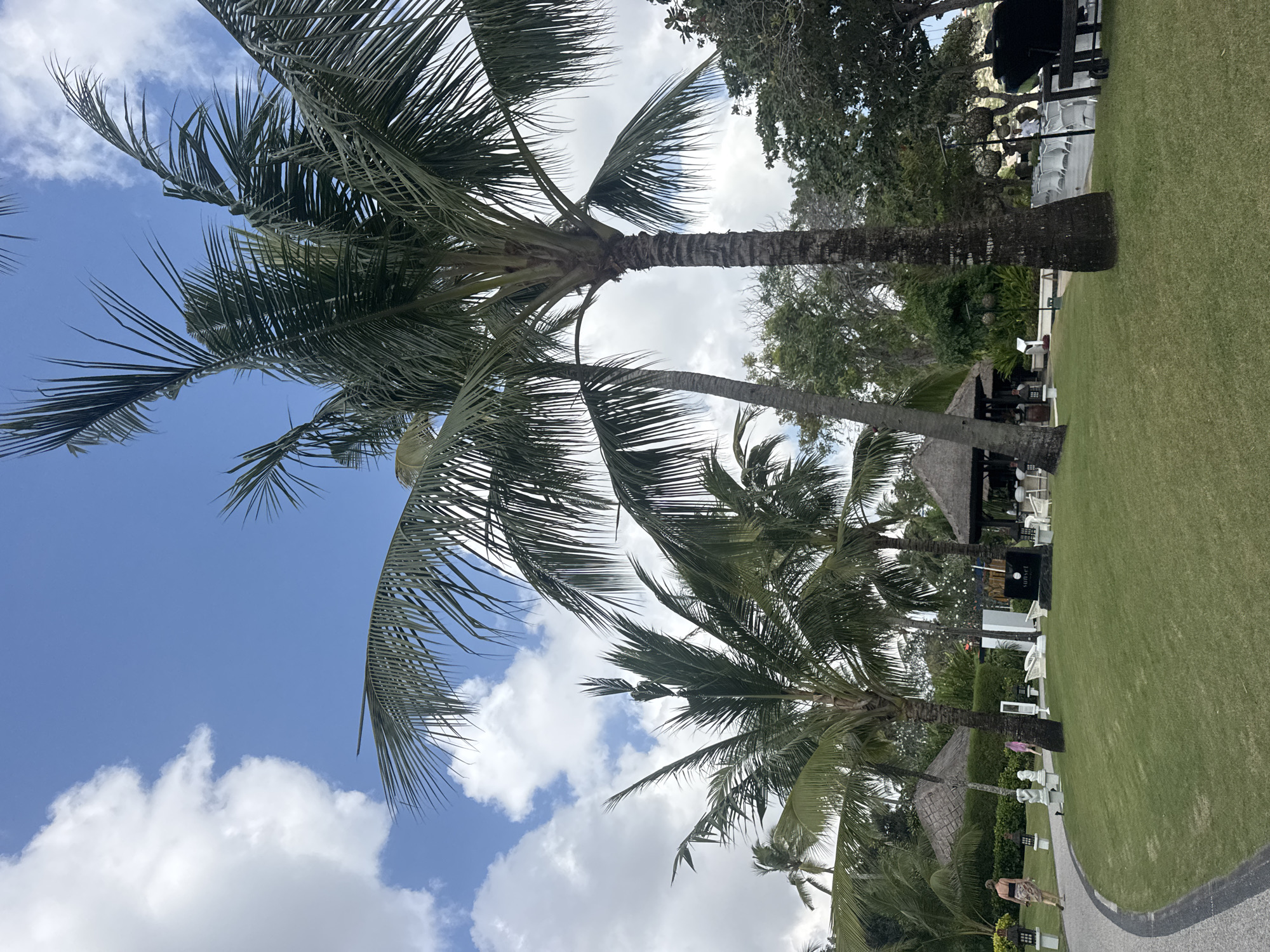 In the city of Kuta Selatan, Indonesia, a resort setting is depicted under a partly cloudy sky. Several tall palm trees dominate the foreground, their fronds reaching towards the blue sky. A paved walkway curves through a manicured green lawn. To the left, a woman wearing a black bikini top and a patterned skirt walks away from the camera. Further into the background, thatched-roof structures and outdoor seating areas suggest a dining or lounging space. A dark rectangular sign with white text that reads "Sunset" is visible near the seating area. Other people are present in the background, some standing and some seated, engaged in activities typical of a resort environment. Lush green foliage and more trees are visible behind the resort structures, adding to the tropical ambiance.