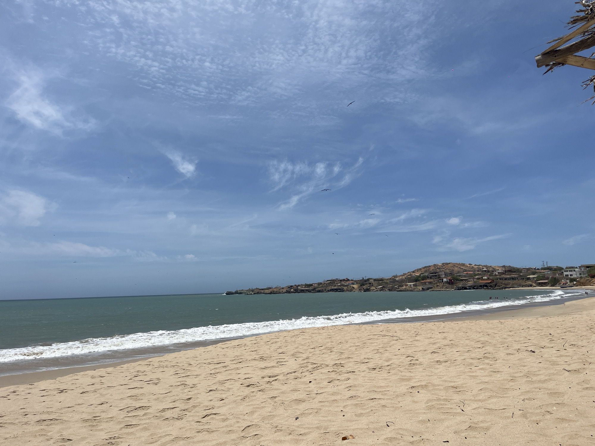 The image depicts a beach scene in La Pared, Venezuela. The foreground is dominated by tan sand, marked with footprints and scattered debris. The ocean, a murky green-blue, meets the sand with gentle, foamy waves. In the mid-ground, a low, arid hill is covered with sparse vegetation and clusters of buildings. The skyline is a pale blue sky with scattered, wispy clouds. Several birds are visible in flight. A small section of a thatched-roof structure appears in the upper right corner of the frame.