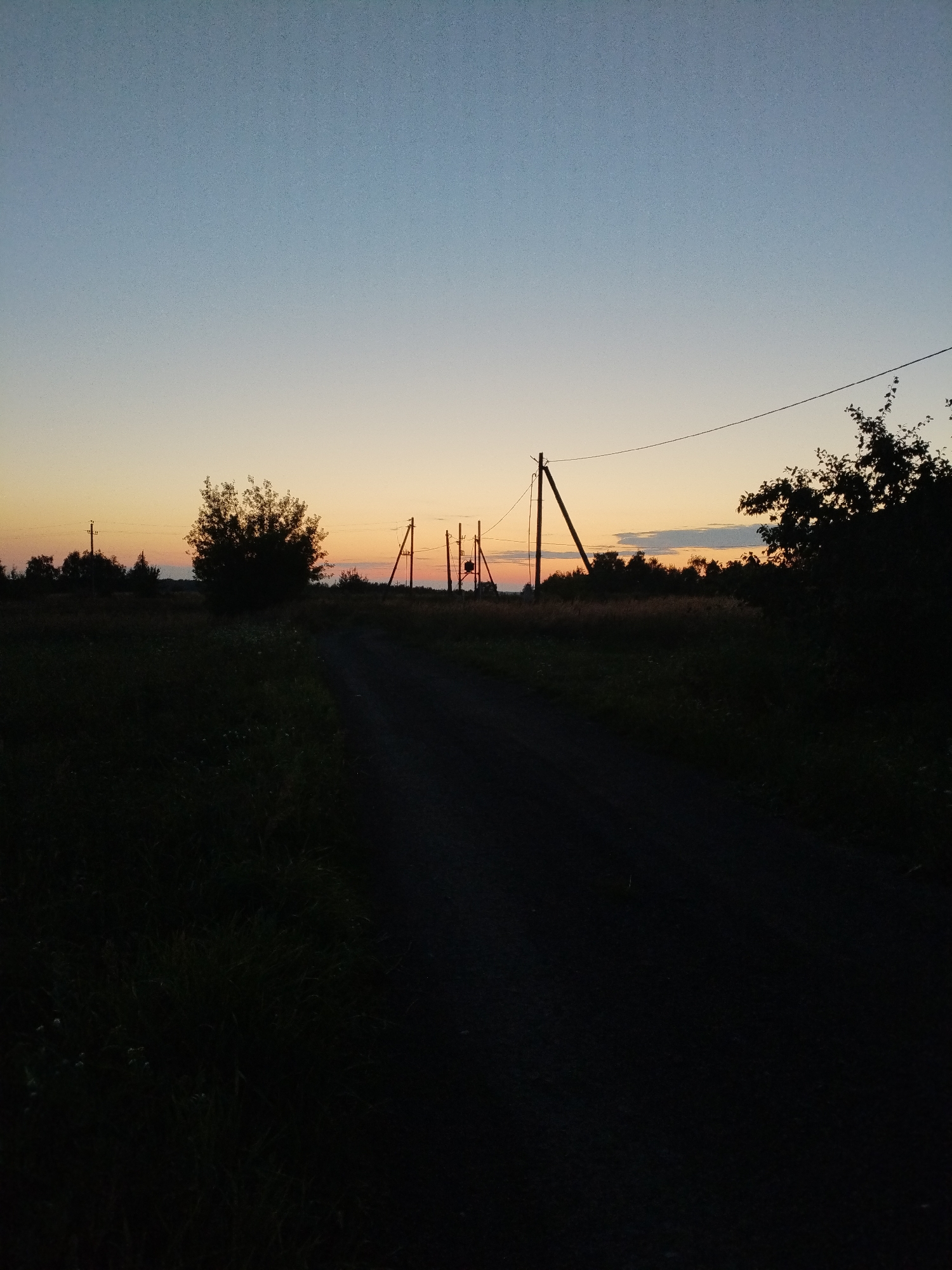 This is a vertical, medium-shot photograph taken at dusk or dawn in Bialynichy, Belarus. The scene depicts a rural landscape with a dirt road leading into the distance, bordered by tall grass and dark foliage on either side. In the middle ground, silhouetted against the fading light of the sky, are several utility poles with electrical wires strung between them. A large, bushy tree stands prominently on the left side of the road. The sky transitions from a pale blue at the top to shades of orange and yellow near the horizon, indicating either sunrise or sunset. The overall impression is one of quiet solitude in a natural setting.