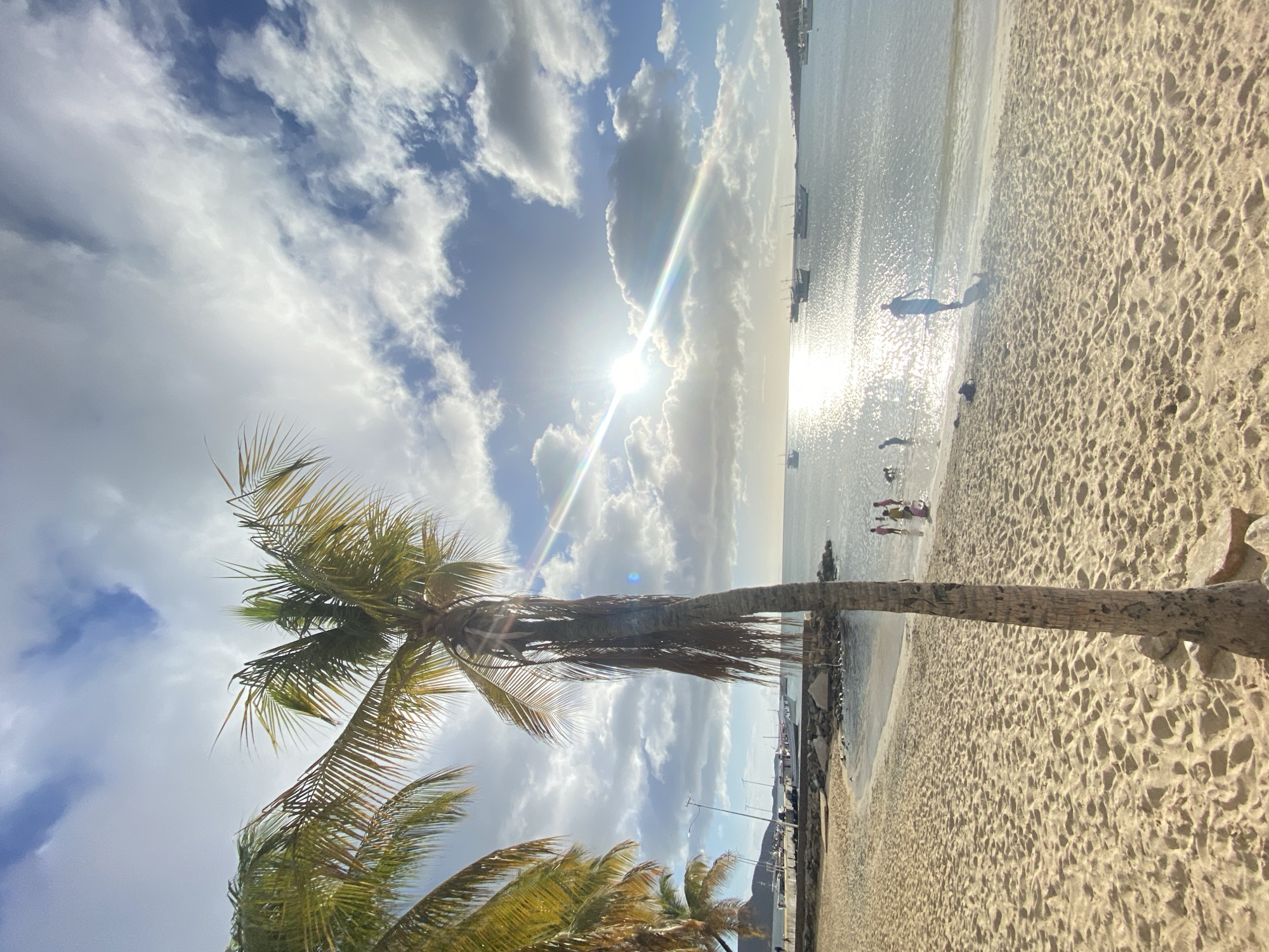 The image shows a beach scene in Juan Griego, Venezuela. The sun is high in the sky with cumulus clouds dispersed in a light blue sky. A palm tree is centered in the image, bending right towards the sandy beach. The ocean is light-colored, reflecting the sun, and a few people are standing in the shallow water and on the sand. Boats are visible on the water in the distance. A concrete barrier runs alongside the sand at the location where the palm tree enters the beach.