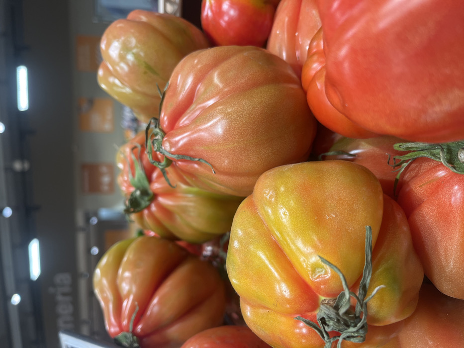 The image displays a close-up, elevated perspective of a large, irregular pile of ribbed tomatoes, consistent with the 'Cuore di Bue' variety, presented in a commercial produce section in Castel del Piano, Italy. The tomatoes exhibit a range of ripeness, with colors transitioning from red and orange-red to yellow-orange, and some still bearing green coloration. Many specimens retain their green or dried calyxes and short stem remnants. The background is blurred, showing overhead artificial lighting fixtures and a partial white sign in the upper left quadrant displaying the letters "neria," indicative of a "Frutteria" or similar department. No individuals or direct actions are visible.
