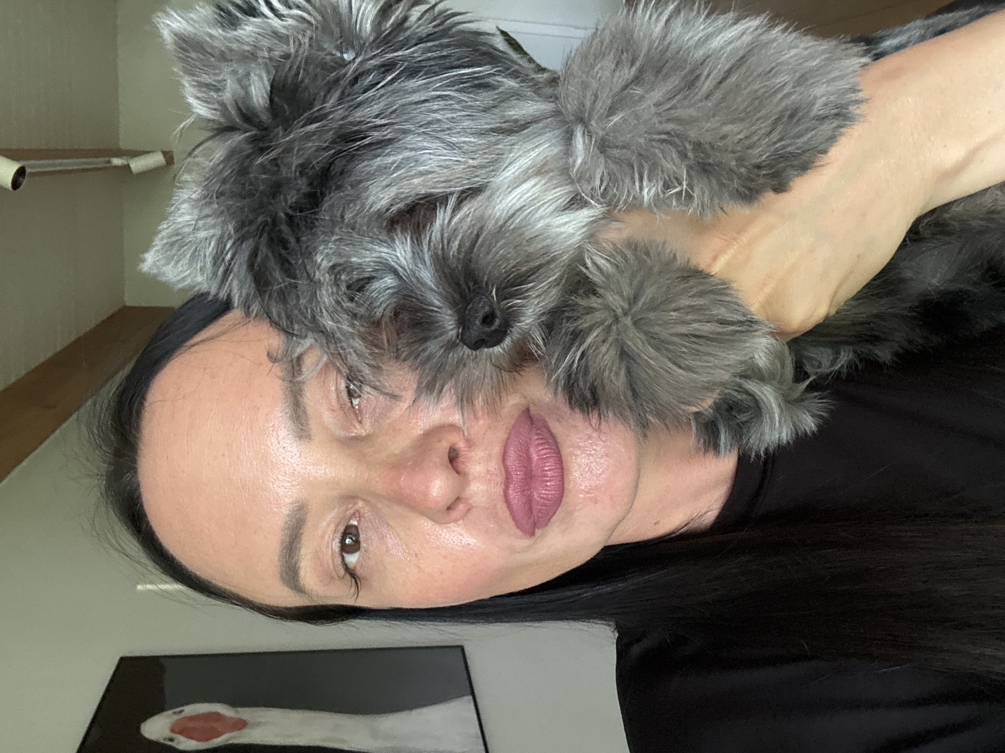 A woman with dark hair and a gray dog are centered in an indoor portrait. The woman is wearing a black top. She is holding the gray, furry dog in her right arm. The dog's head rests against her face. A painting of a goose is visible in the bottom left corner. A shelf with toilet paper rolls is faintly visible in the upper left background. The location is likely inside a home, but there is no confirmation of the city Chaikovsky, Russia.