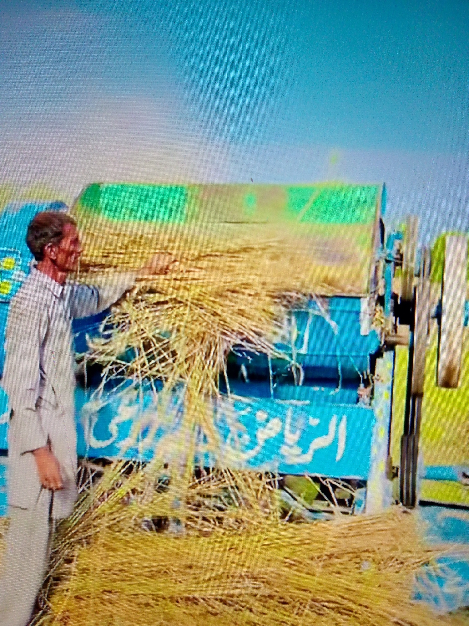 An outdoor agricultural scene unfolds under a clear, bright blue sky, showing a man operating a threshing machine. The man, appearing middle-aged or older with short dark hair, is dressed in light-colored work clothes, likely a tunic and pants. He is actively feeding large bundles of golden-yellow dried crop stalks, possibly wheat or rice, into a prominent, brightly colored blue and green agricultural machine. His expression is one of focus, with a slight hint of a smile as he works.
The machine, designed for threshing or processing crops, has visible moving parts including pulleys and what appear to be belts on its right side, indicating it is in operation. The ground in the foreground is covered with an abundance of straw and crop stalks. White Arabic script is visible on the side of the blue machine; the word "الرياض" (Al-Riyadh) is clearly discernible, possibly indicating a brand name or a location reference. The bright daylight and lack of clouds suggest a sunny day, highlighting manual labor's role in conjunction with machinery during harvest or post-harvest processing.