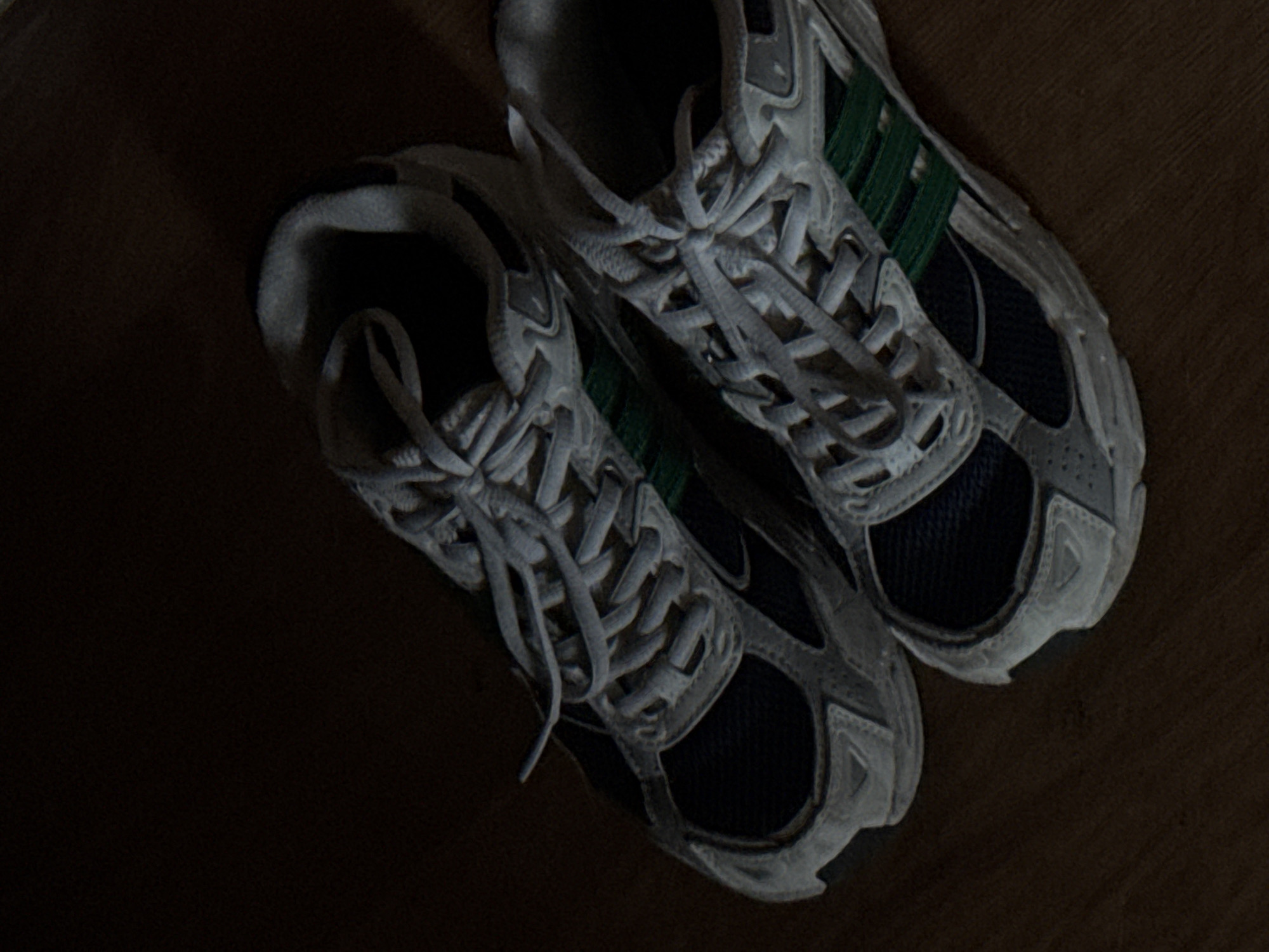 This image shows a pair of dark blue and grey athletic shoes with white laces and green stripes on the sides. The shoes are placed on a wooden floor in a dimly lit environment. There are no people or other objects visible in the image. The scene is indoors and appears to be a domestic setting, such as a home or apartment. There is no information available in the image to suggest a specific location within the city of Izhevsk, Russia.