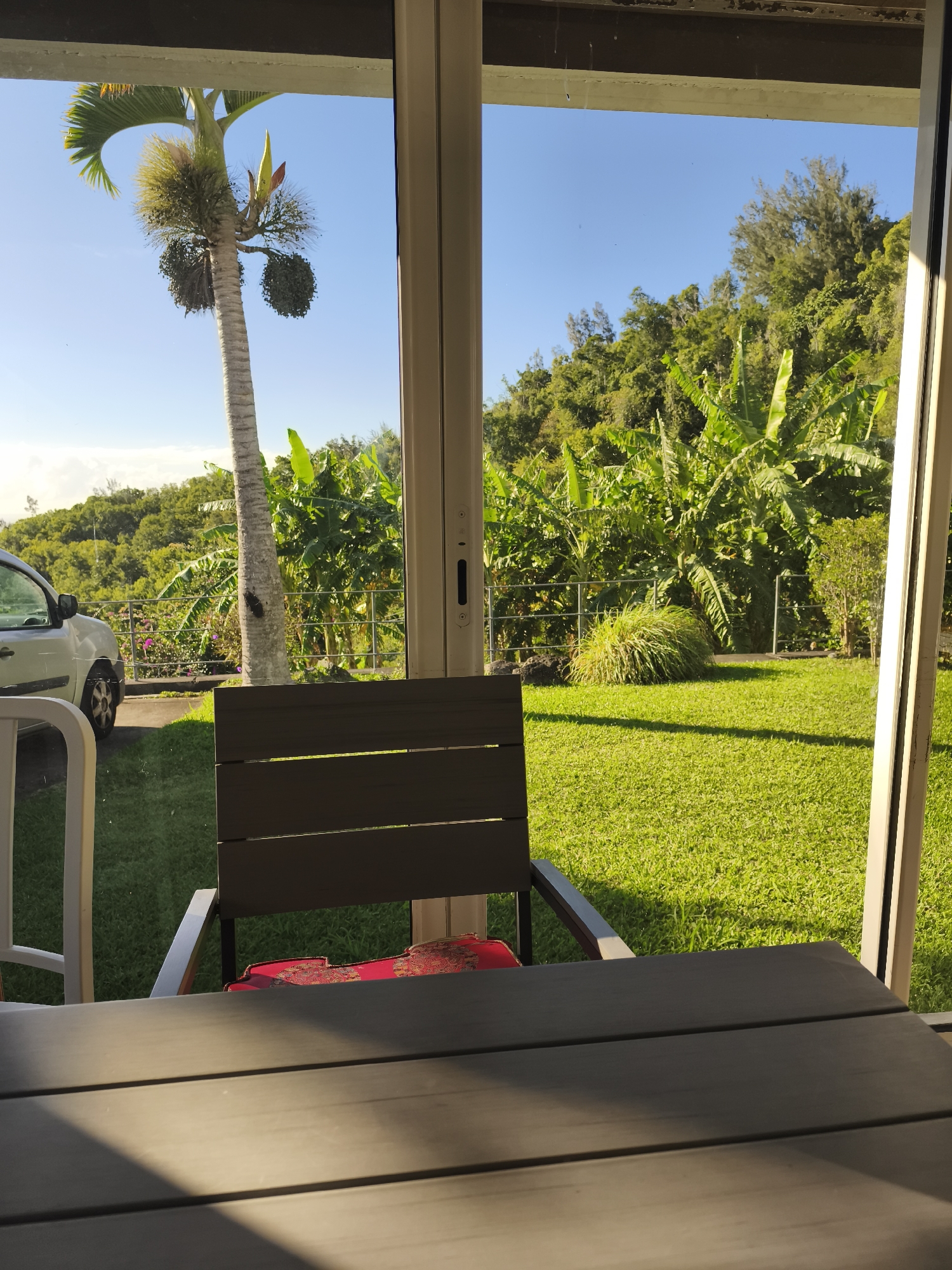 The image depicts a view from a covered patio area, looking out onto a lush green yard and vegetation. In the foreground, a dark-colored table is visible with a shadow cast across its surface. Behind the table, a chair with a red patterned cushion is placed. Beyond the patio, a well-maintained lawn stretches out, bordered by a metal fence. A variety of tropical plants, including banana trees, are abundant in the yard and on the hillside in the background. A tall palm tree with dark, heavy clusters hanging from it stands prominently in the mid-ground. To the left, a portion of a light-colored car is parked on a paved surface. The sky is a clear, bright blue. The scene suggests a warm, tropical environment, likely a residential area in Saint-Denis, Réunion, which is a French overseas department in the Indian Ocean, not in mainland France.