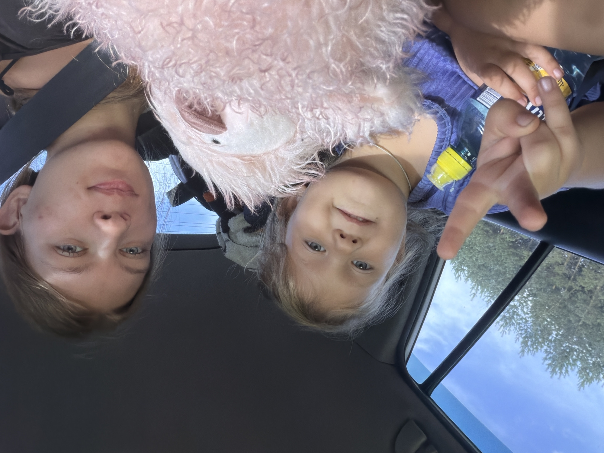 Two females are captured in a selfie inside a car. The female in the foreground, on the left, is a young child with blonde hair and blue eyes. She is wearing a purple top and has her right hand raised in a peace sign. A bottle of water with a yellow cap is visible next to her. A fluffy pink stuffed animal is held by the child, partially obscuring her body. The female in the background, on the right, appears to be an adult with blonde hair and blue eyes. She is wearing a black top and a black seatbelt is visible across her chest. Both females are looking at the camera. The interior of the car is visible, including the dashboard and windows. Through the window, trees and a blue sky with clouds can be seen, suggesting an outdoor setting, possibly during daytime. The location is identified as Novoye Mavrino, Russia.