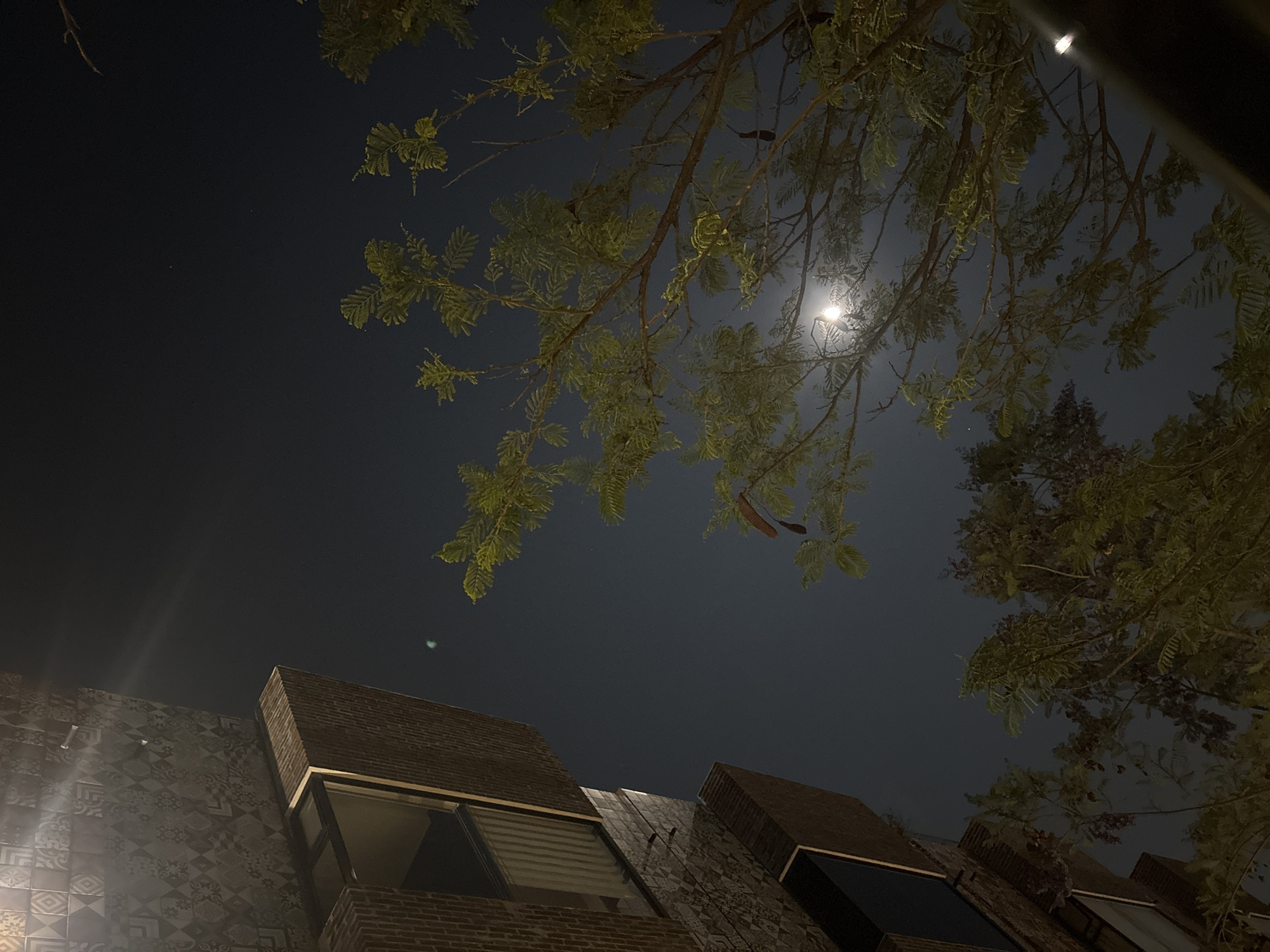 The image shows a night scene in San Pedro Cholula, Mexico. The sky is dark, with a bright moon partially obscured by the branches of a tree in the upper right and center of the frame. The building is made of dark brick and decorated with patterned ceramic tiles and features large dark-tinted windows. The image is taken from a low angle, looking upward. The environment suggests a quiet, urban residential or commercial area at night.