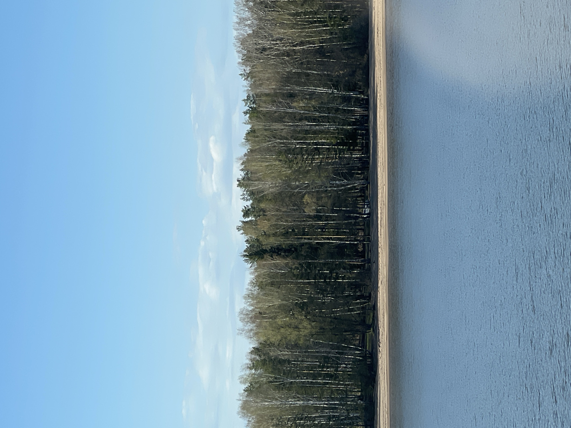 The image depicts a body of water, possibly a lake or reservoir, next to a forested area under a blue sky with light clouds. The location is suggested to be in or near the city of Chaikovsky, Russia. The photo shows the water surface on the right side and a line of trees along the left. The trees appear to be a mix of deciduous and evergreen varieties. There are no visible people, subjects, objects, actions or interactions in the image, other than the natural environment itself. The sky is predominantly clear blue with some scattered light clouds.