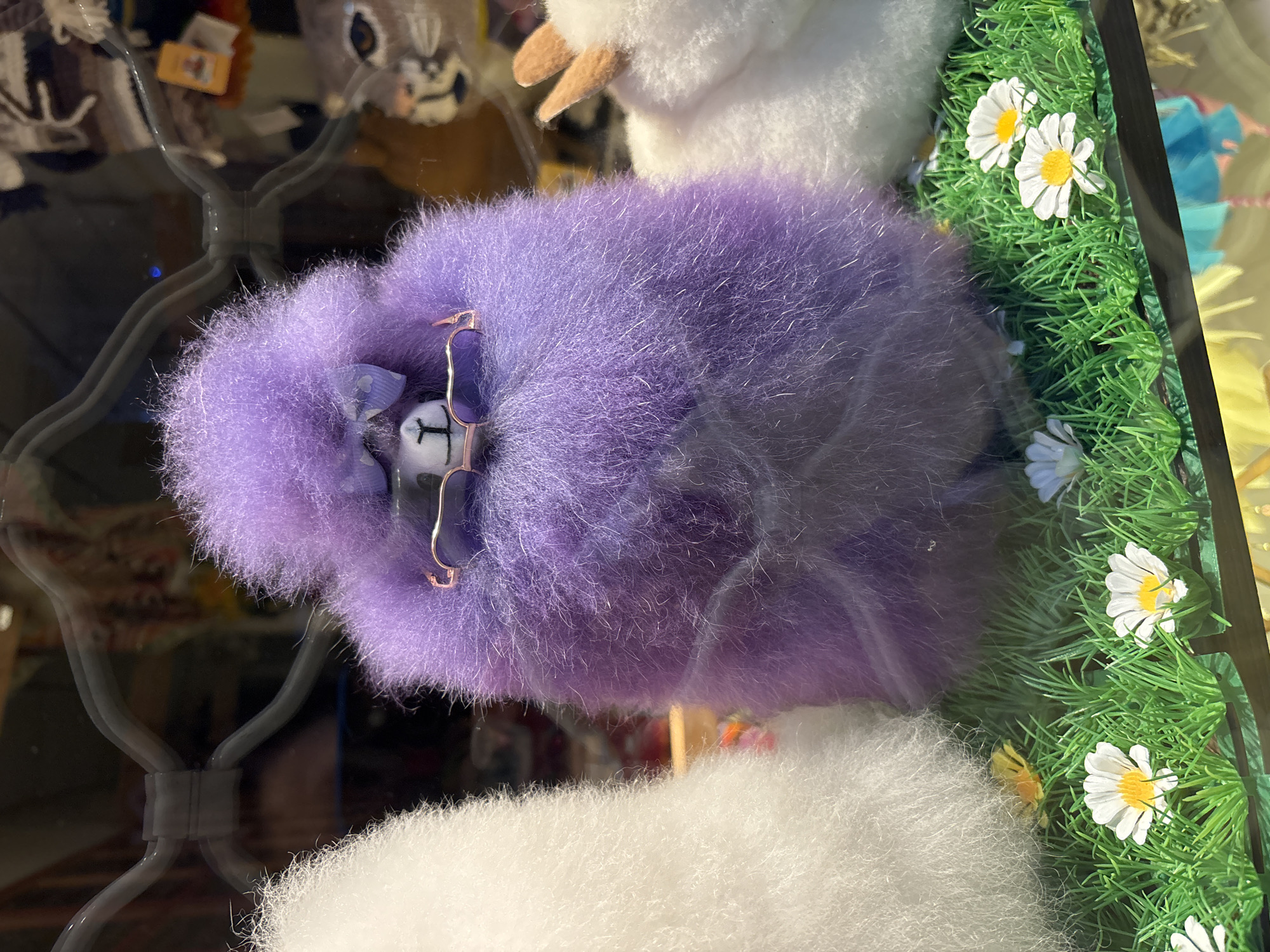 A vertical close-up shot features a fluffy, vibrant purple stuffed animal, likely an alpaca or llama, prominently displayed. The animal is adorned with small, round, rose-gold-rimmed glasses and a matching purple bow tied around its neck, positioned just below its face. Its face is light-colored with dark features, giving it a whimsical expression.
The purple plush object takes up a significant portion of the frame, with its soft, slightly shaggy texture clearly visible. It appears to be part of a retail display, possibly in a shop window or glass case, given the reflections seen on the glass surface. These reflections show distorted shapes, including what looks like dark grey or black display stands with curved elements in the background, and hints of other merchandise or internal shop structures.
To the right of the purple animal, a section of artificial green grass with small white daisy-like flowers is visible, creating a naturalistic backdrop for the display. At the bottom of the frame, a portion of another white, fluffy stuffed animal is visible, and in the upper background, out of focus, glimpses of other stuffed animals can be seen, including a white one with brown features (possibly ears or snout) and a greyish one. The lighting suggests daytime. The scene is located in Sofia, Bulgaria, and depicts a static, appealing arrangement of plush toys. There is no discernible text visible within the frame.
