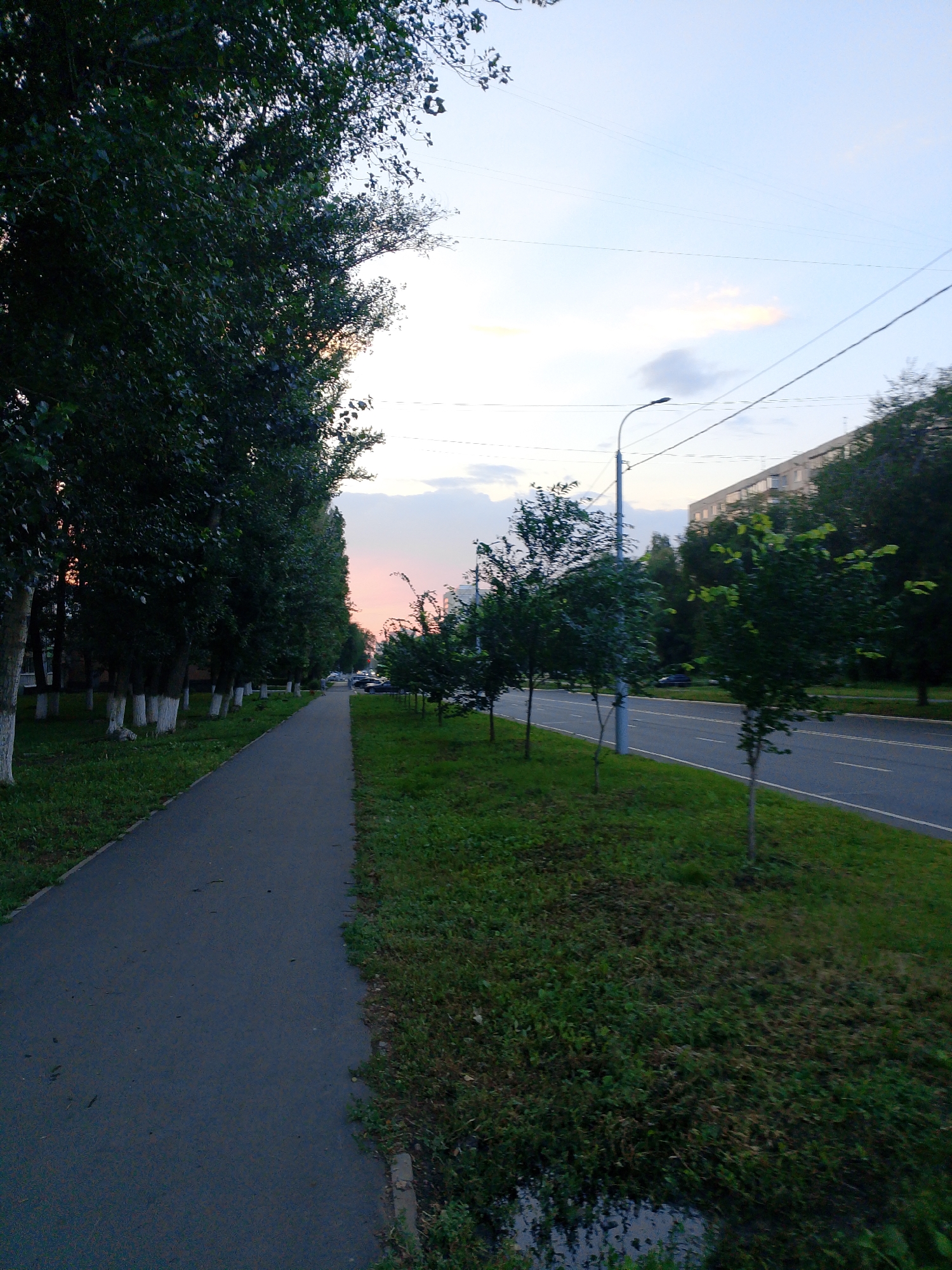 A paved walkway runs alongside a tree-lined street in an urban environment, likely during twilight given the soft hues in the sky. The walkway is on the left of the image and is bordered by grass. On the right side of the walkway, several trees with white-painted bases stand in a row, creating a dense green canopy that partially obscures the sky. Beyond the trees, a two-lane road with white lane markings is visible, with a few cars in the distance. Further to the right, a multi-story building stands, its windows reflecting the sky. The sky itself transitions from a light blue at the top to warmer, pinkish tones near the horizon, suggesting the sun has recently set or is about to rise. A lamppost is positioned along the street, and power lines stretch across the sky. The overall scene depicts a typical city street during the evening or early morning, with a focus on the natural elements of trees and sky juxtaposed against the urban infrastructure.