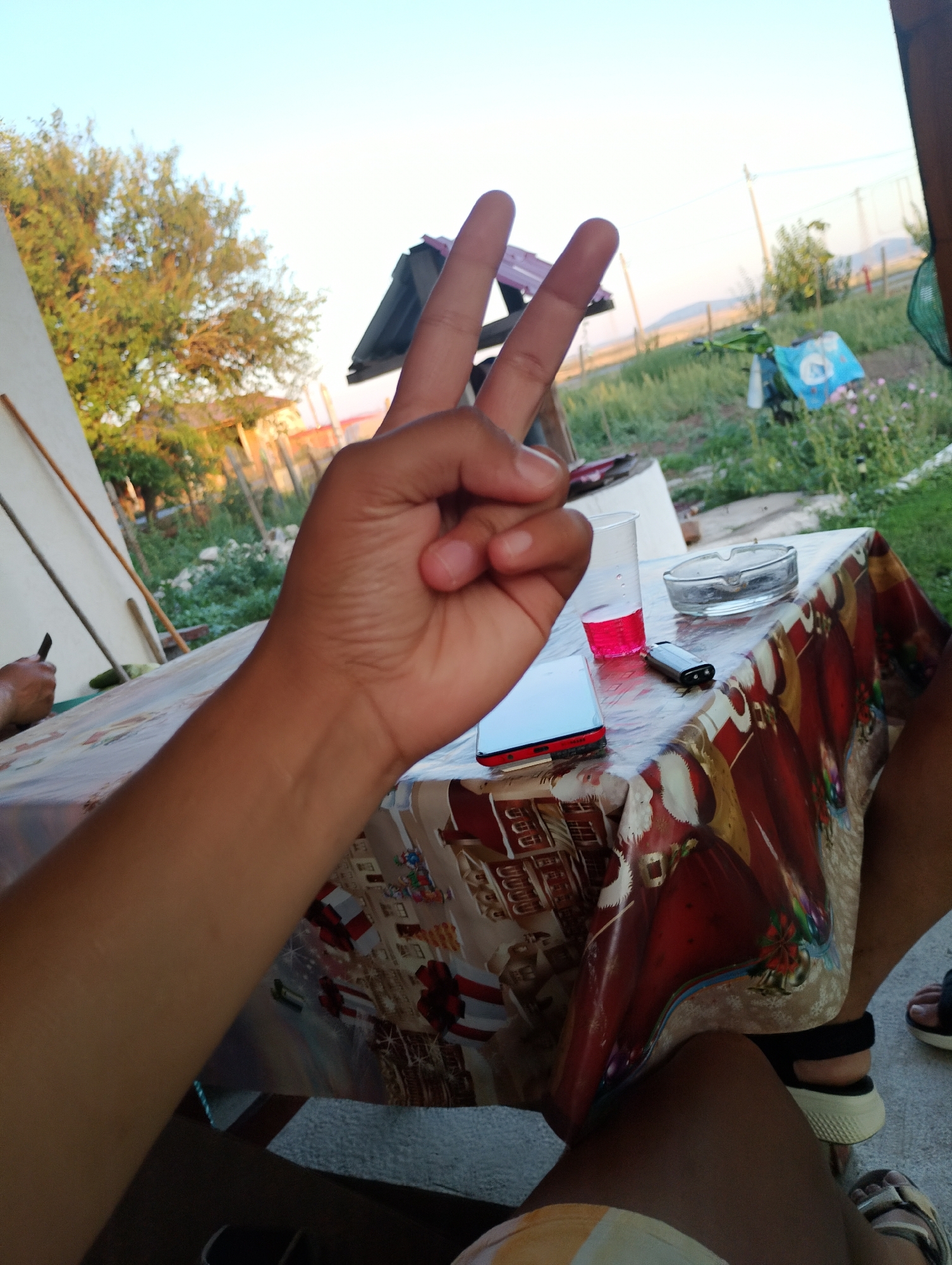 The image depicts a close-up view of a person's hand making a peace sign. In the background, a table is set with a disposable cup containing red liquid, an ashtray, a cigarette lighter, and a smartphone. The table is covered with a patterned tablecloth. Beyond the table, an outdoor scene is visible with greenery, trees, and a fence. The sky is clear and light blue. The setting appears to be a casual outdoor gathering. The overall impression is that of a snapshot taken during a relaxed moment, likely in a residential or recreational outdoor space in Zimnitsa, Bulgaria.
