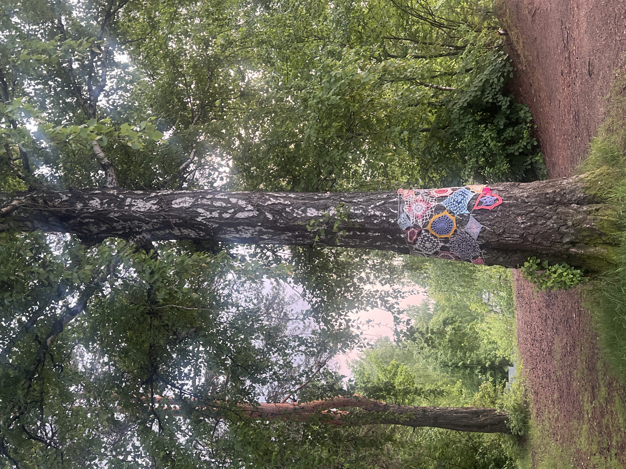 The image captures an outdoor scene dominated by a prominent tree trunk, appearing to be a birch due to its light, peeling bark. Wrapped around the tree at mid-height is a vibrant, colorful crocheted artwork, commonly known as "yarn bombing." This textile art comprises various interconnected, geometrically patterned patches in shades of pink, yellow, blue, white, and purple, adding a whimsical touch to the natural setting.
To the right of the main tree, a well-trodden dirt path or trail meanders through the landscape, bordered by grass and sparse vegetation. The ground texture suggests soft earth.
The background and surrounding areas are rich with dense green foliage from numerous deciduous trees, indicating a lush woodland, park, or forest environment. The leaves are a vibrant green, suggesting the season is late spring or summer. Light filters softly through the canopy, creating a dappled illumination characteristic of daytime, possibly under a lightly overcast sky or through thick leaves. No people are visible in the scene, which conveys a sense of peaceful tranquility.
This natural setting with its unique artistic embellishment is located in Chaikovsky, Russia. There is no visible text in the image.
