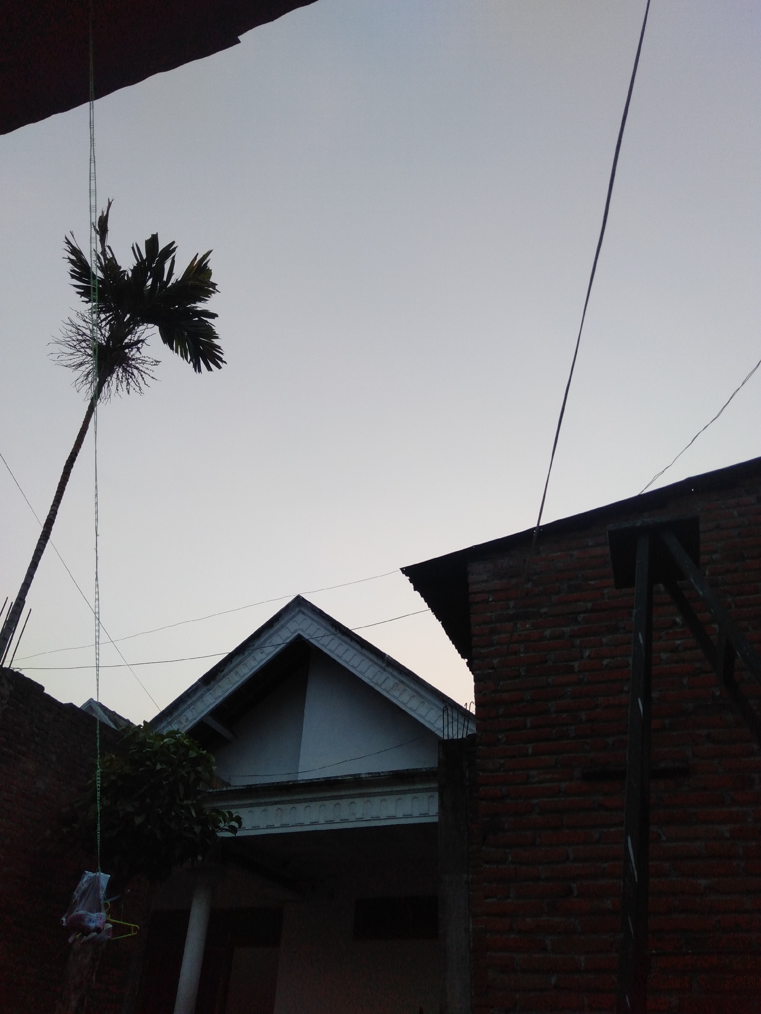 The image captures an outdoor scene in Badas, Indonesia, during what appears to be twilight. In the foreground, a brick building with a dark roof dominates the right side of the frame. To the left, a lighter colored building with a triangular roof is visible, partially obscured by a tree with lush green foliage. A tall, slender palm tree extends upwards from the left side of the image, its fronds silhouetted against a pale sky. Several wires are strung across the scene, some taut and others appearing to sag. A small, white plastic bag with a few items inside is suspended from a green string, hanging near the base of the palm tree. The overall lighting suggests the end of the day, casting a subdued light on the structures and vegetation.