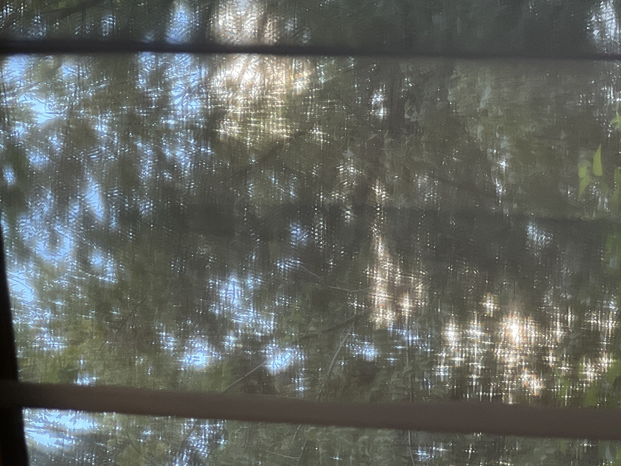 The image shows a view through a window with sheer curtains. Sunlight streams through trees and leaves, creating dappled light patterns on the curtains and the scene beyond. The foliage appears lush and green, indicating it is likely springtime or summertime. There are no people or specific landmarks visible to identify the location in Warsaw, Poland. The overall impression is one of a peaceful, sunlit natural setting viewed from indoors.
