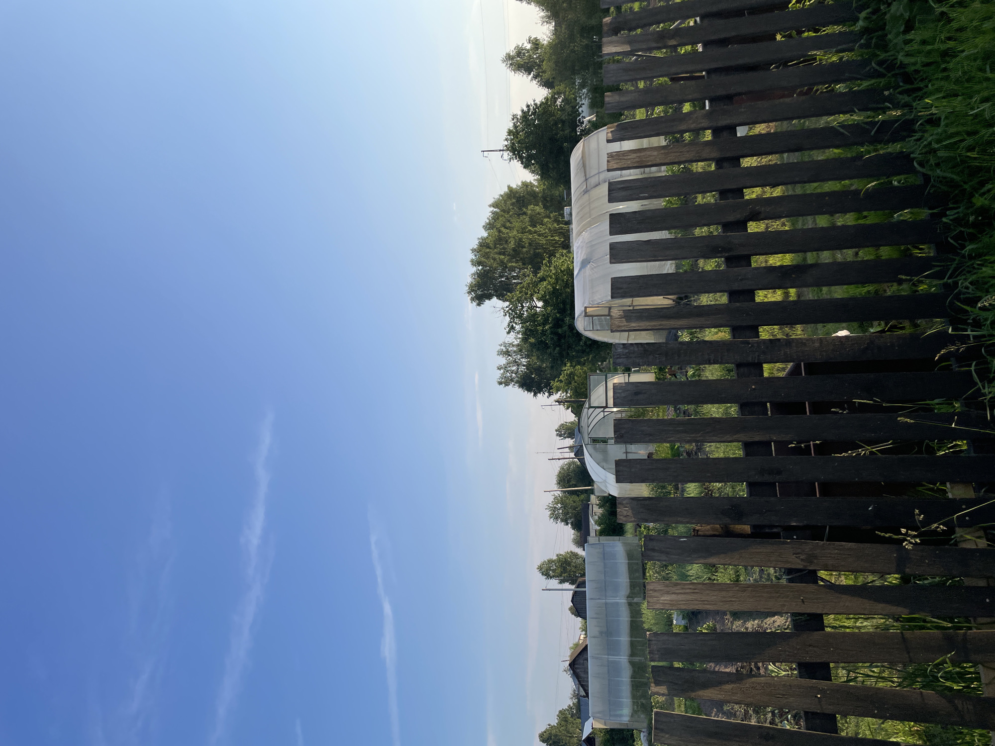 The image depicts a rural scene in the village of Пруды, Russia, likely during the daytime under a clear blue sky with sparse wispy clouds. In the foreground, a weathered wooden fence made of vertical planks runs diagonally across the frame, with tall grass growing in front of and behind it. Beyond the fence, several greenhouses, constructed with transparent material stretched over arched frames, are visible. These greenhouses are arranged in a line. In the background, a row of trees and some houses with dark roofs are present, suggesting a residential area. Power lines and poles are also visible in the distance. The overall impression is one of a peaceful, agricultural setting.