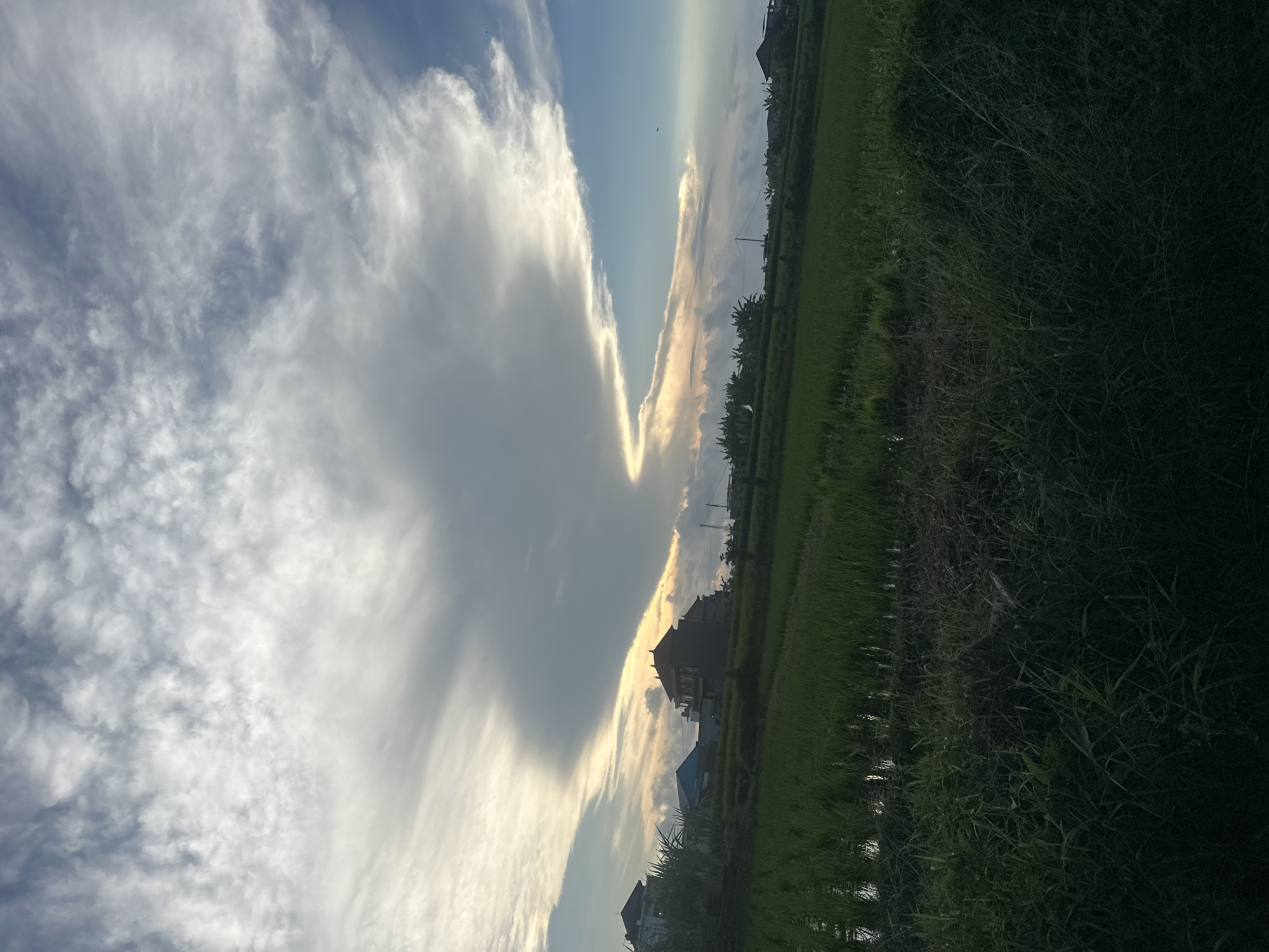 The image depicts a landscape in Sukawati, Indonesia, featuring a sky filled with white and grey clouds dominating the left side of the frame. A section of the sky is illuminated by golden light, likely from the sun. The right side of the image shows a field with tall green grass and hints of water reflections, suggesting a wet or flooded area. In the background, buildings and trees are visible, silhouetted against the sky. The photograph appears to have been taken in the evening or early morning, given the soft light.