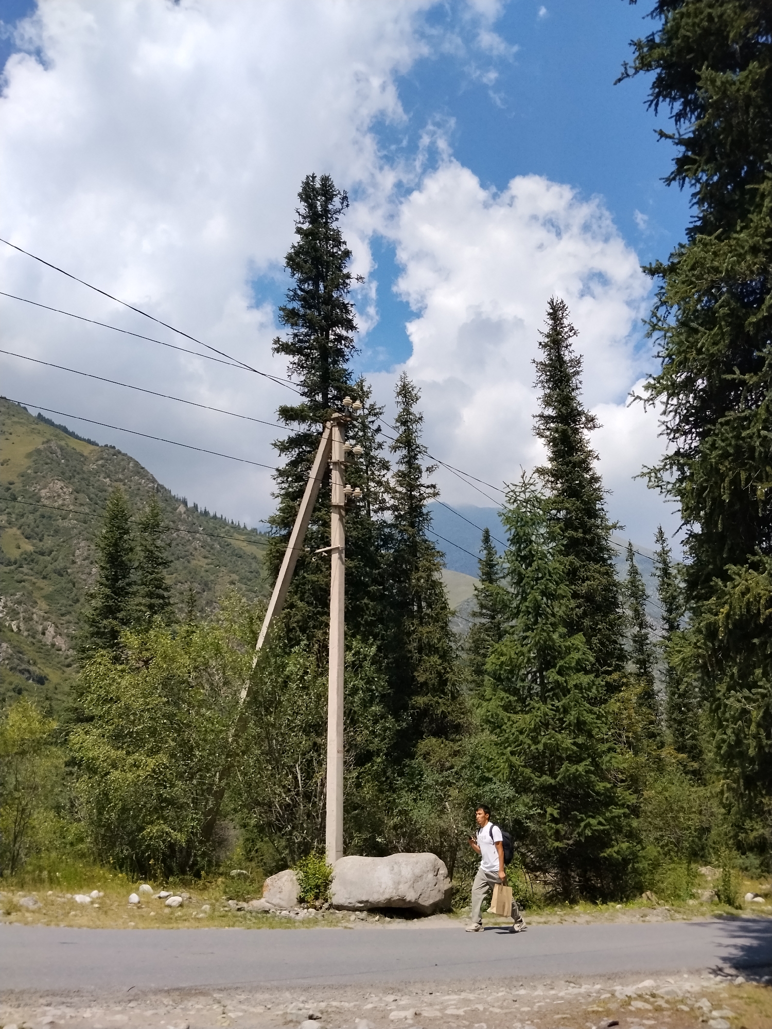 A man wearing a white t-shirt and light-colored pants, carrying a backpack and a paper bag, walks along an asphalt road in a mountainous, forested area. He is holding a smartphone in his right hand. The road runs parallel to a line of evergreen trees and a mountain slope covered in vegetation. A utility pole with ceramic insulators stands prominently on the right side of the road, with power lines stretching across the frame. In the background, a large mountain is visible under a partly cloudy sky. The scene appears to be in a natural, undeveloped setting, likely outside of a major urban center, given the presence of mountains, dense forest, and rudimentary infrastructure like the utility pole. The environment suggests a location in a rural or wilderness area of Kyrgyzstan.