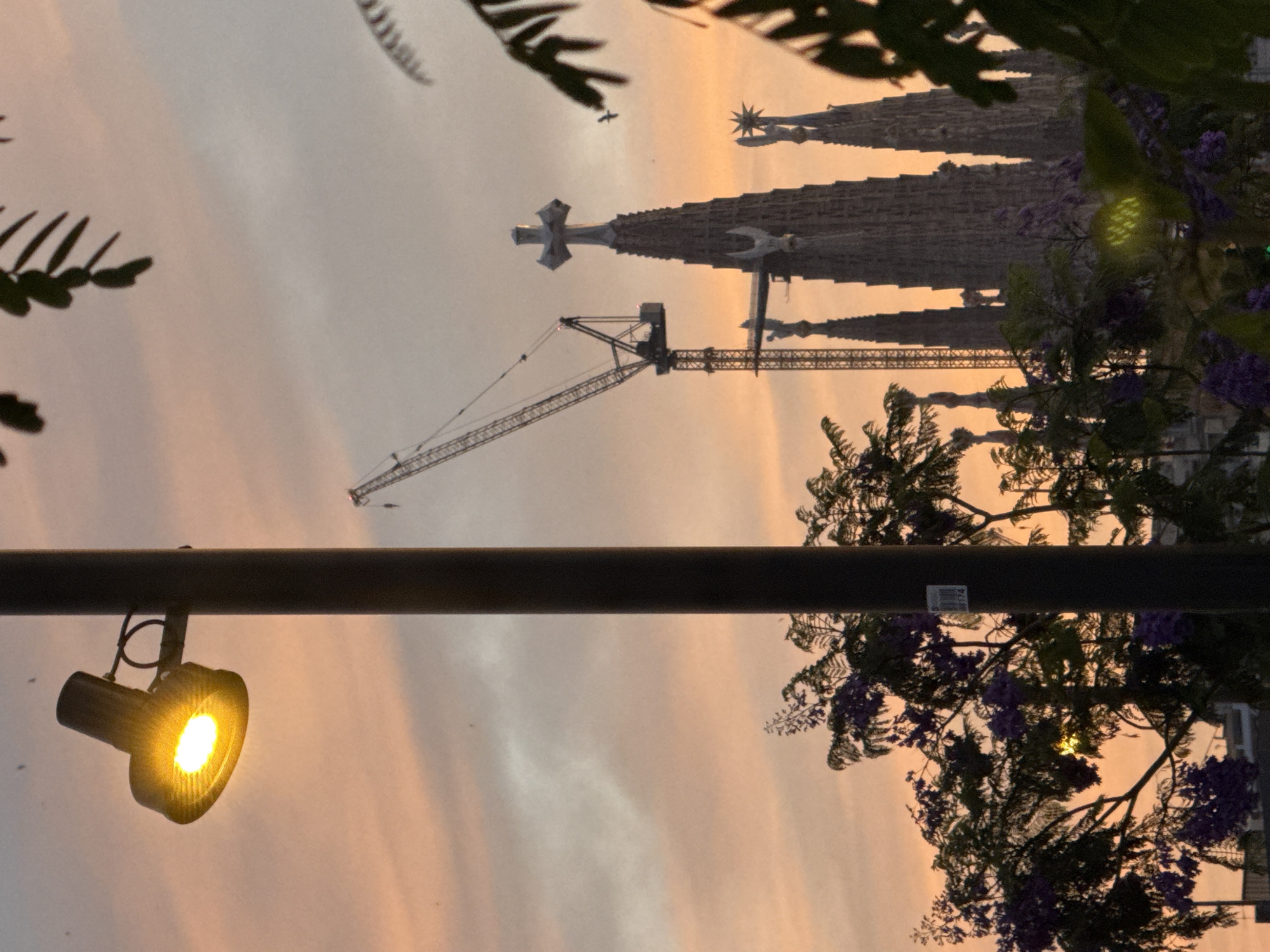 This image depicts a twilight or dawn scene in Barcelona, Spain, with the Sagrada Família basilica prominently featured in the background. In the foreground, a dark, vertically oriented street lamp pole occupies the left-center, with a horizontally angled, industrial-style fixture emitting a bright yellow-white LED light positioned on the upper left. A white barcode sticker is affixed to the upper section of the lamp pole. The lower and mid-ground are filled with the dark silhouettes of tree branches and foliage, some displaying clusters of purple flowers, consistent with Jacaranda trees.
Behind the foreground elements, the distinctive, textured spires of the Sagrada Família rise, partially silhouetted against a gradient sky. The sky transitions from warm orange and pink hues near the horizon to lighter grey and pale blue overhead. A tall construction crane is positioned to the left of the central Sagrada Família spires, indicating ongoing building activity. Several of the basilica's spires are visible, topped with crosses and other intricate architectural details. Small, dark specks, likely birds, are scattered across the sky, with one bird clearly captured in flight near the upper right spires. A distinct green-yellow light reflection is visible on some leaves in the bottom-right corner of the image. No human figures are discernible in the scene.