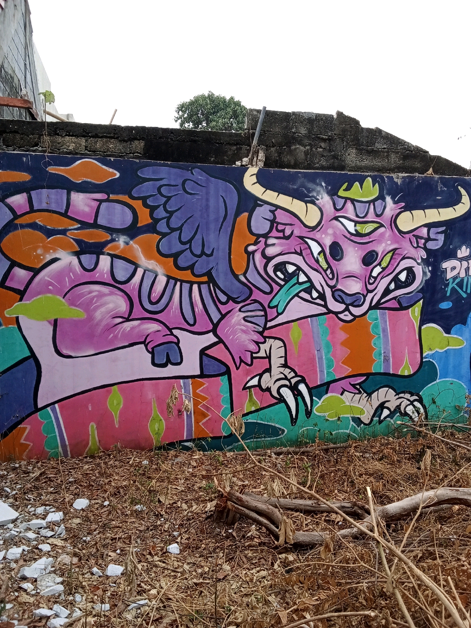 The image shows a colorful graffiti mural on a concrete wall in Depok, Indonesia. The mural depicts a large, pink, winged creature with multiple eyes, sharp claws, and horns. It is rendered in a cartoonish style with bold black outlines and bright, contrasting colors. The background of the mural features abstract shapes and patterns in shades of blue, orange, and green. In front of the wall, the ground is covered with dry leaves, twigs, and small pieces of white debris, suggesting an outdoor, possibly neglected, urban environment. The wall itself appears weathered, with some patches of exposed brick or concrete. The sky above is overcast and bright.