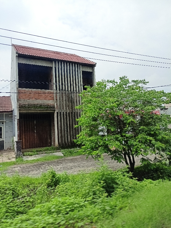 This outdoor image presents a static scene featuring an unfinished or neglected two-story building, a vibrant green tree, and lush vegetation under an overcast sky.

The prominent subject is a two-story building located to the left of the frame. It features a red tiled, sloped roof. The upper facade incorporates vertical concrete slats, with large, open rectangular spaces suggesting unglazed windows or balconies. Below this, there is a section of exposed red brickwork. The ground floor has a large, dark brown, possibly wooden or corrugated metal, door or gate. The concrete surfaces of the building appear weathered and show signs of staining or age.

To the right of the building, a robust, medium-sized tree with abundant, bright green leaves stands out, partially obscuring the background. The foreground and the area along the bottom of the image are dominated by dense, unkempt green grass and shrubbery, indicating overgrown natural growth. A rough-textured, paved or cobbled path runs horizontally across the midground in front of the building, leading towards another partial view of a structure on the far left.

The sky is a uniform, light grey, characteristic of an overcast day, and there is no direct sunlight visible. Multiple black power lines traverse the upper section of the image horizontally. There are no people or discernible activities taking place. No visible text is present in the image.

The scene conveys a sense of quietude in a possibly rural or semi-urban area. Given the location context of Ngoro, Indonesia, the architecture, vegetation, and general atmosphere are consistent with such a setting in a tropical climate.
