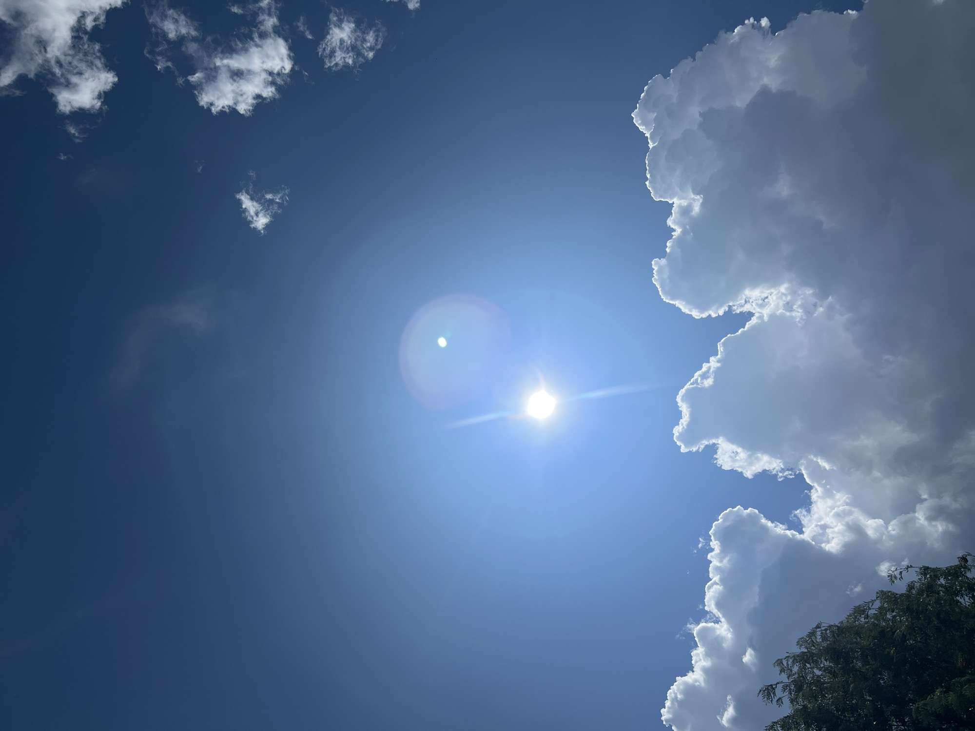 The image shows a bright sunny sky with the sun visible in the upper center, emitting a lens flare. There are several fluffy white clouds scattered across the blue sky, with some smaller, wispy clouds in the distance. In the lower left corner, the dark green foliage of a tree is visible, partially obscuring the bottom edge of some of the clouds. The image does not depict any people, actions, or interactions. The scene is an outdoor natural environment, a sky with clouds and a tree. There is no indication of the specific location within the city of Mochishche, Russia.
