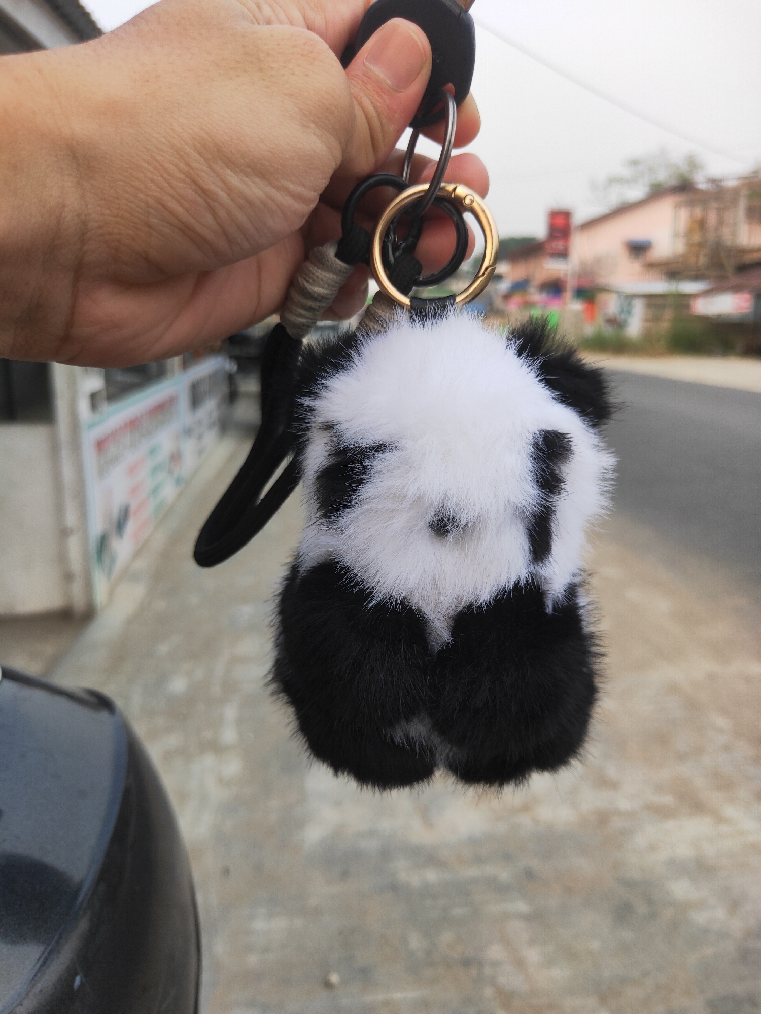 A person's hand holds a fuzzy black and white panda keychain attached to a car key. The keychain is hanging from a gold ring. The background shows a street scene with buildings and trees. The location is identified as Sintang, Indonesia.