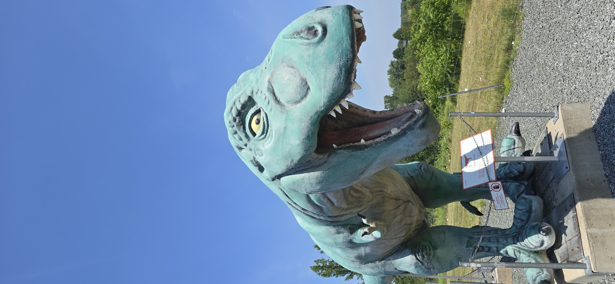 The image depicts a life-sized, green, artificial Tyrannosaurus Rex dinosaur statue, positioned outdoors in Saint-Léonard-d'Aston, Canada. The statue is detailed, with its mouth open, revealing sharp teeth and a red interior. It stands on a concrete platform surrounded by gravel. Metal posts and chains are installed around the base of the statue, serving as a barrier. Two signs are attached to a metal pole in front of the statue: one larger sign with a silhouette of a dinosaur and text, and a smaller sign with a red circle and a hand symbol, indicating a prohibition, along with French text. The background consists of a grassy field, lush green trees, and a clear blue sky. The lighting suggests it is a sunny day. There are no people visible in the image.