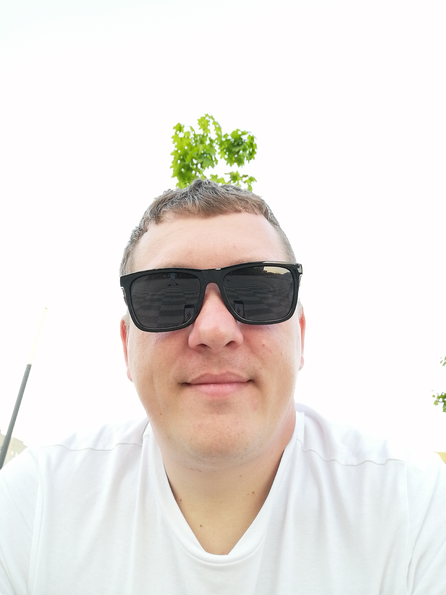 A close-up, eye-level, outdoor portrait captures a person wearing dark sunglasses and a white t-shirt. The individual, presumably male, has short brown hair. The lenses of the sunglasses reflect a checkered pattern, suggestive of an indoor flooring design. In the upper background, directly above the person's head, is a green leafy branch, potentially from a tree. A thin vertical object is visible to the left, appearing to be a pole. The location appears to be outdoors. The city and specific place are unknown.