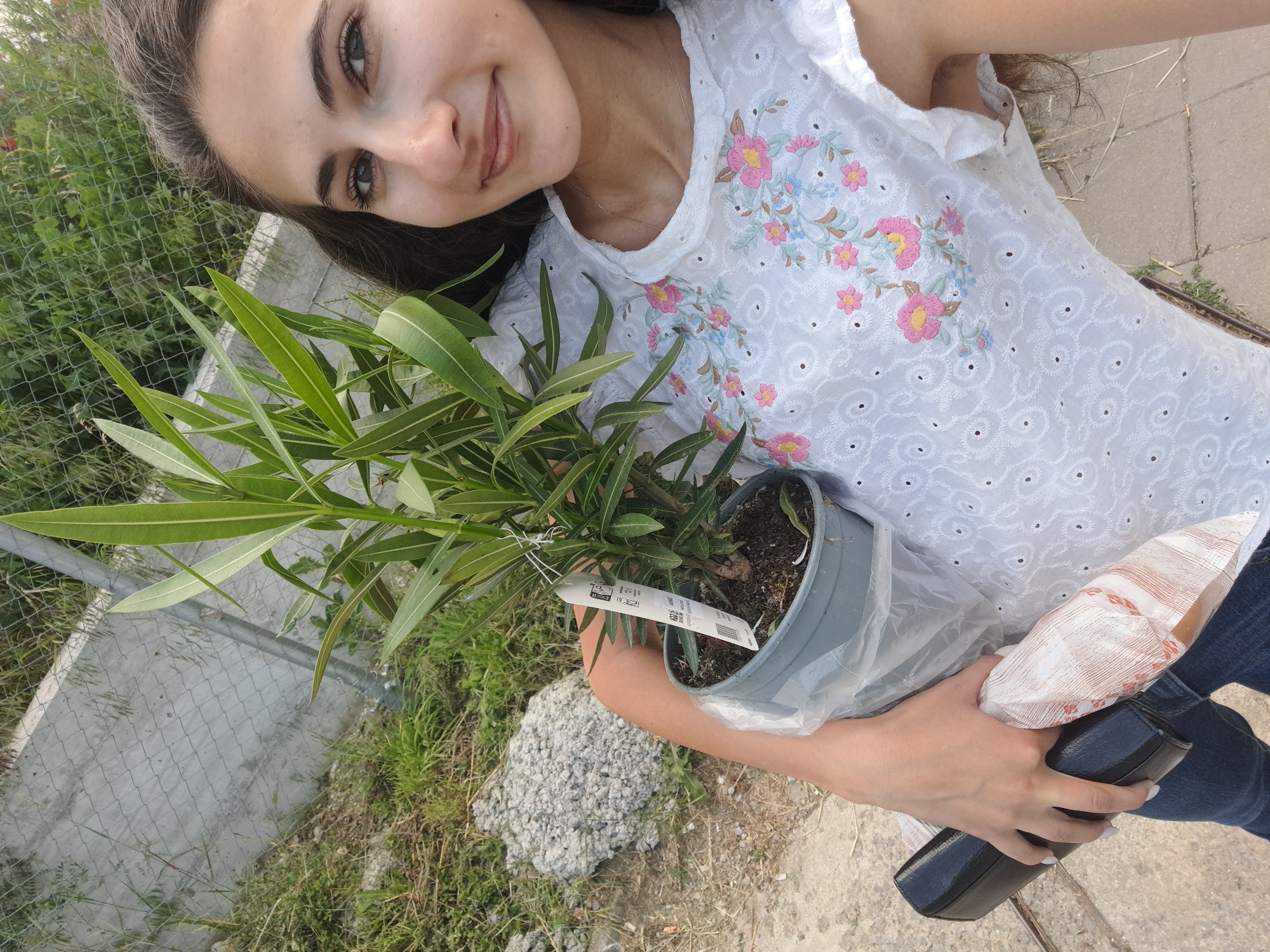 In an outdoor, indeterminate location, a young woman with dark, wavy hair holds a potted plant and a black clutch. She is wearing a white, eyelet top with floral embroidery in pink and blue. The plant, in a gray pot and wrapped in plastic, has long, slender green leaves and a white tag attached. She is also holding a wrapped item, possibly food, with a pattern of orange lines on a white background. The background features a chain-link fence, concrete, and dry vegetation.
