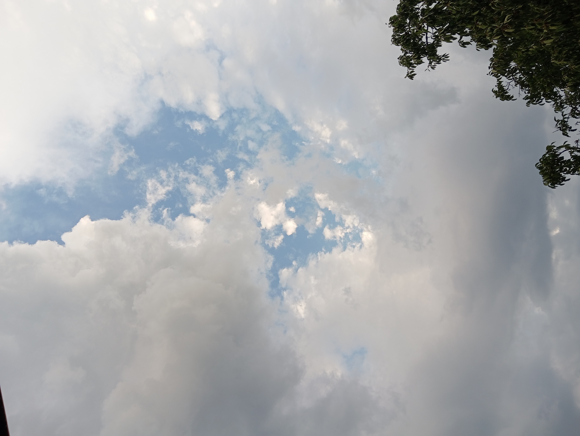 The image depicts a cloudy sky over Nitra, Slovakia. The majority of the frame is filled with a variegated sky, featuring a mix of light gray, white, and darker gray clouds. A patch of blue sky is visible in the upper center, with scattered smaller clouds within it. The bottom right and bottom left corners of the image are partially obscured by the dark green foliage of trees, suggesting they are in the foreground. The overall impression is that of an overcast or partly cloudy day. No people or specific landmarks within Nitra are identifiable.