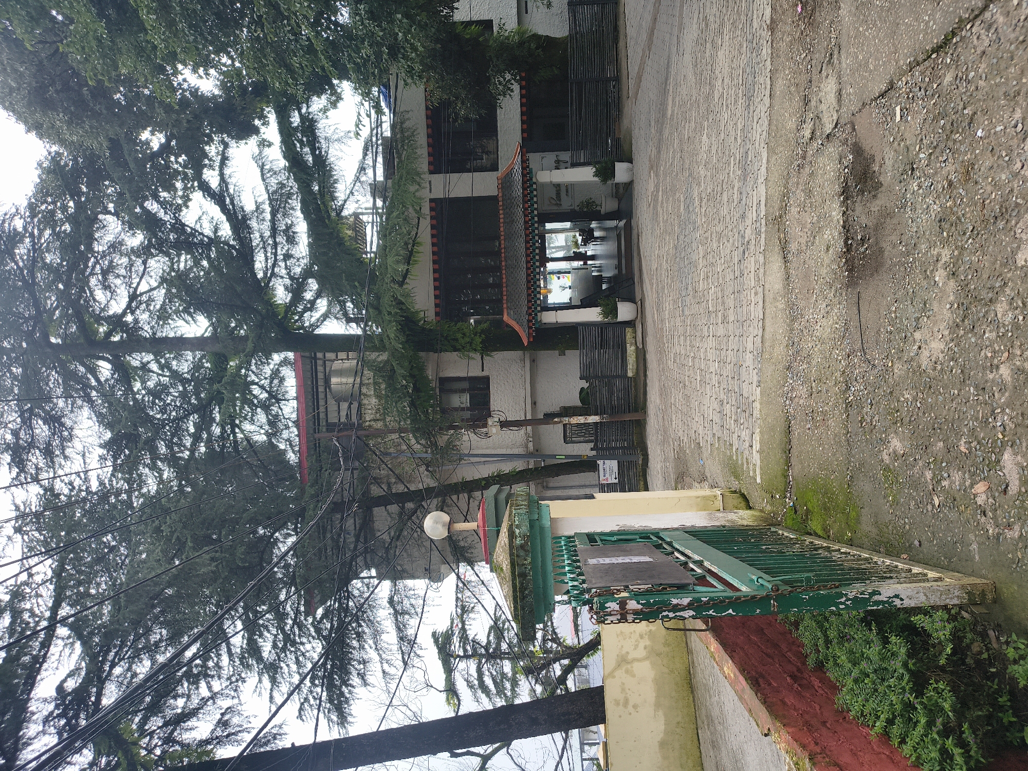 The image shows the entrance to a building in Dharamshala, India. The building appears to be a hotel or guesthouse, with a distinctive Tibetan-style roof over the entrance. The entrance is flanked by large trees and a paved walkway. A green metal gate with chains is partially open to the left of the entrance. The area is somewhat overgrown, with moss on the gate and weeds growing along the wall. The sky is overcast. No people are visible in the image.