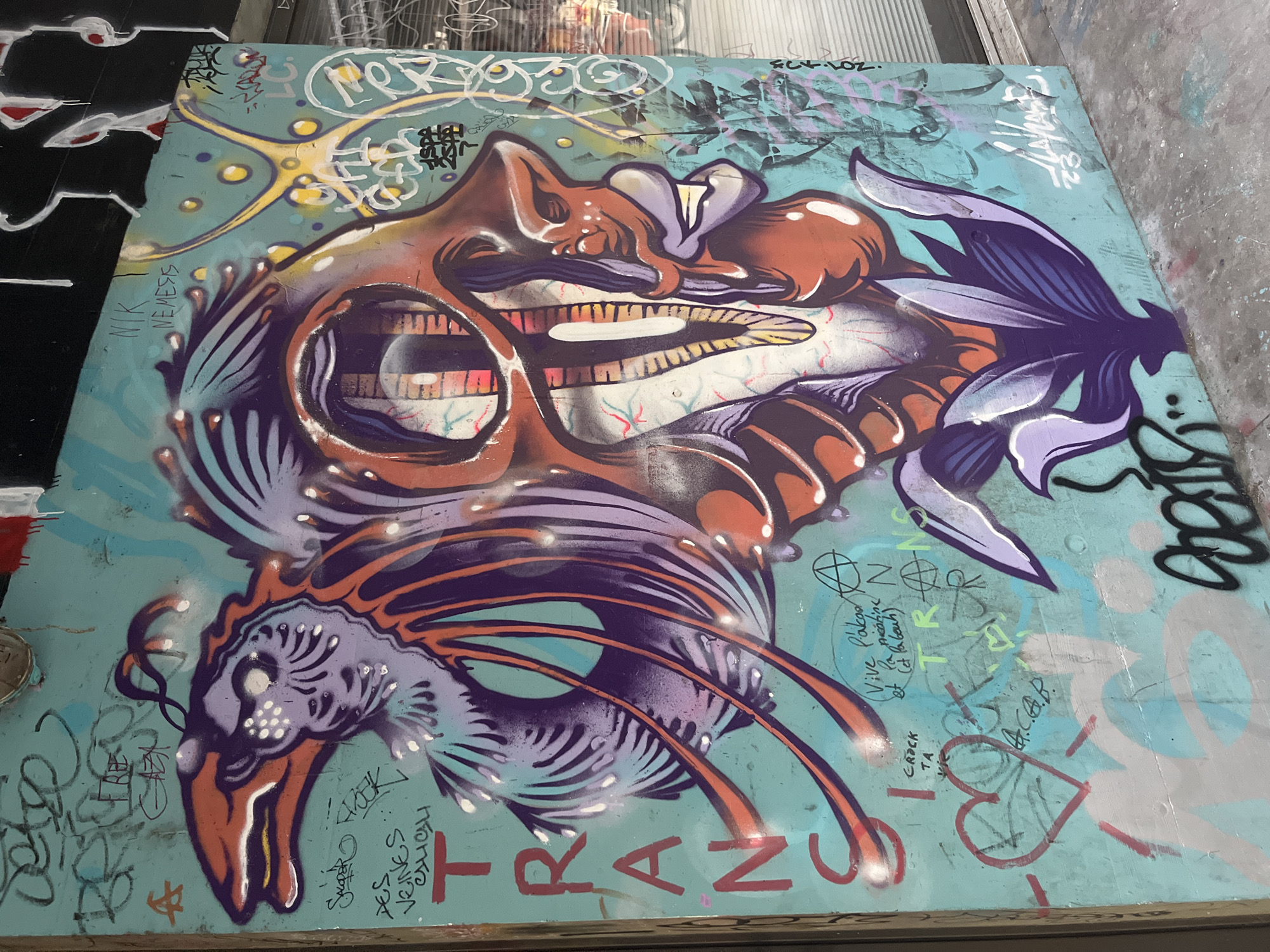 This is a close-up, eye-level, medium shot of a large, colorful graffiti mural on a turquoise-painted wall in Geneva, Switzerland. The mural depicts a stylized, monstrous bird-like creature with an orange and purple head and intricate, layered wings and body. The creature's head has a beak-like mouth with yellow teeth and a large, dark, hollow opening in the skull area, revealing brick-like textures within. The creature is adorned with sharp, feather-like protrusions in shades of purple and orange, with white speckles scattered across its form. Below the creature, purple and lavender petals or leaves are painted, resembling a stylized flower.
The turquoise wall is extensively covered with various graffiti tags and writings in different colors and styles. In the upper left corner, there are faint red and white markings. To the right of the creature's head, the name "NIK NEMESIS" is written in black marker. To the left of the creature, the word "TRANS" is written vertically in large red letters. Below this, a red heart shape is drawn, with the words "CRACK TA" written inside it. Another line of text below the heart appears to read "A.C.A.B."
In the upper right portion of the image, there are yellow star-like shapes and more intricate graffiti tags in black and white. Faintly visible in the background through a window or reflective surface on the right side of the image, there are blurred reflections of what appears to be urban surroundings. The ground in the foreground is a concrete surface with scattered paint splatters, suggesting an outdoor urban environment. The overall impression is one of vibrant, chaotic street art in an urban setting.