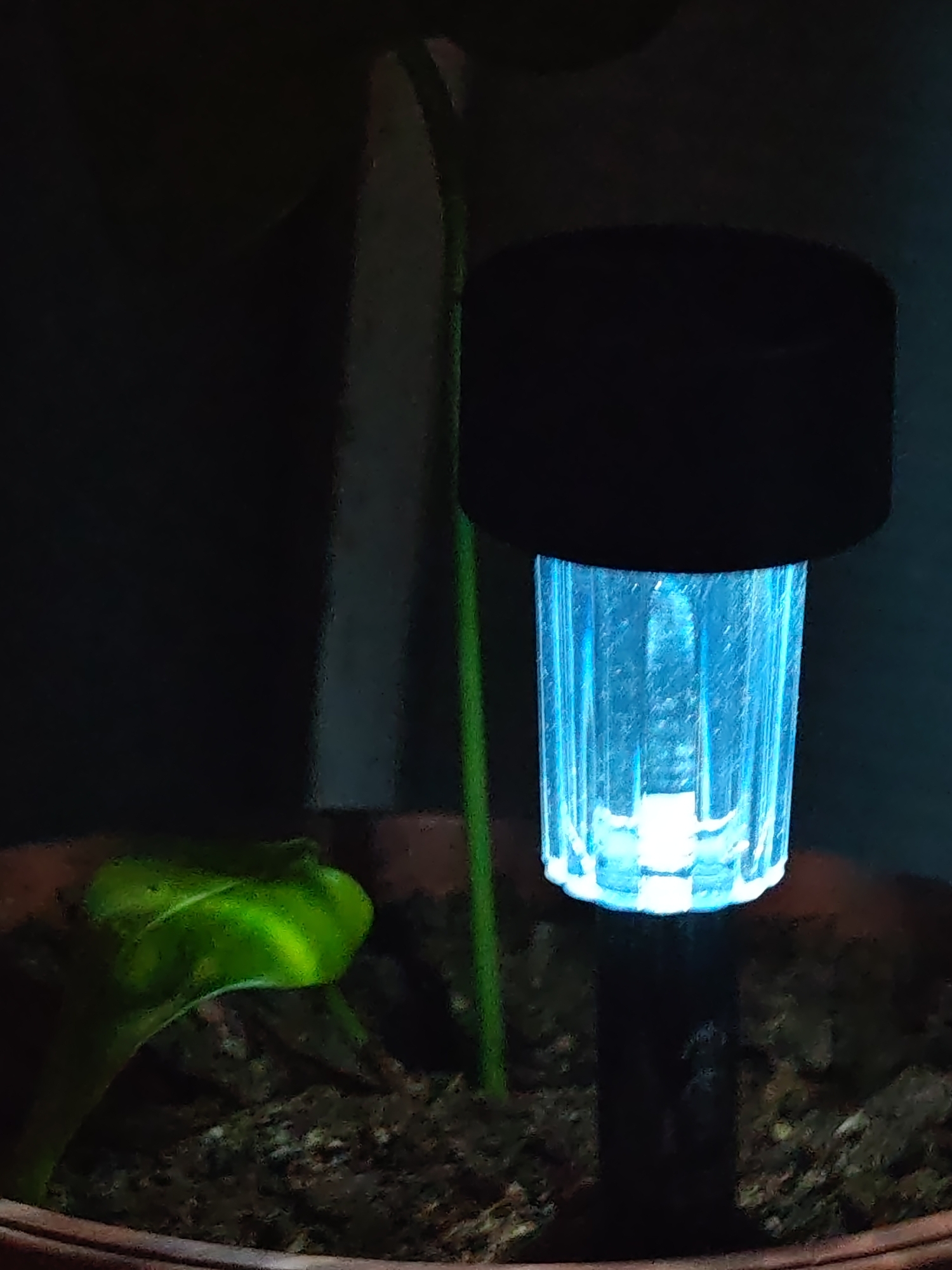 The image captures a close-up scene featuring a potted plant and an illuminated object in low light conditions. A cylindrical light fixture, topped with a black cap, is positioned on the right side of the frame. Its clear, ribbed body emits a bright blue light, casting a glow downwards into dark brown soil. To the left, a vibrant green leaf, possibly emerging from the soil, is partially illuminated by the blue light. A thin, upright green stem or support stick is visible between the light fixture and the green leaf. The plant and light are contained within a reddish-brown pot, the rim of which is visible at the bottom. The background is dark and indistinct. There are no people, explicit actions, or identifying features in the image that suggest a specific location in Shumen, Bulgaria.