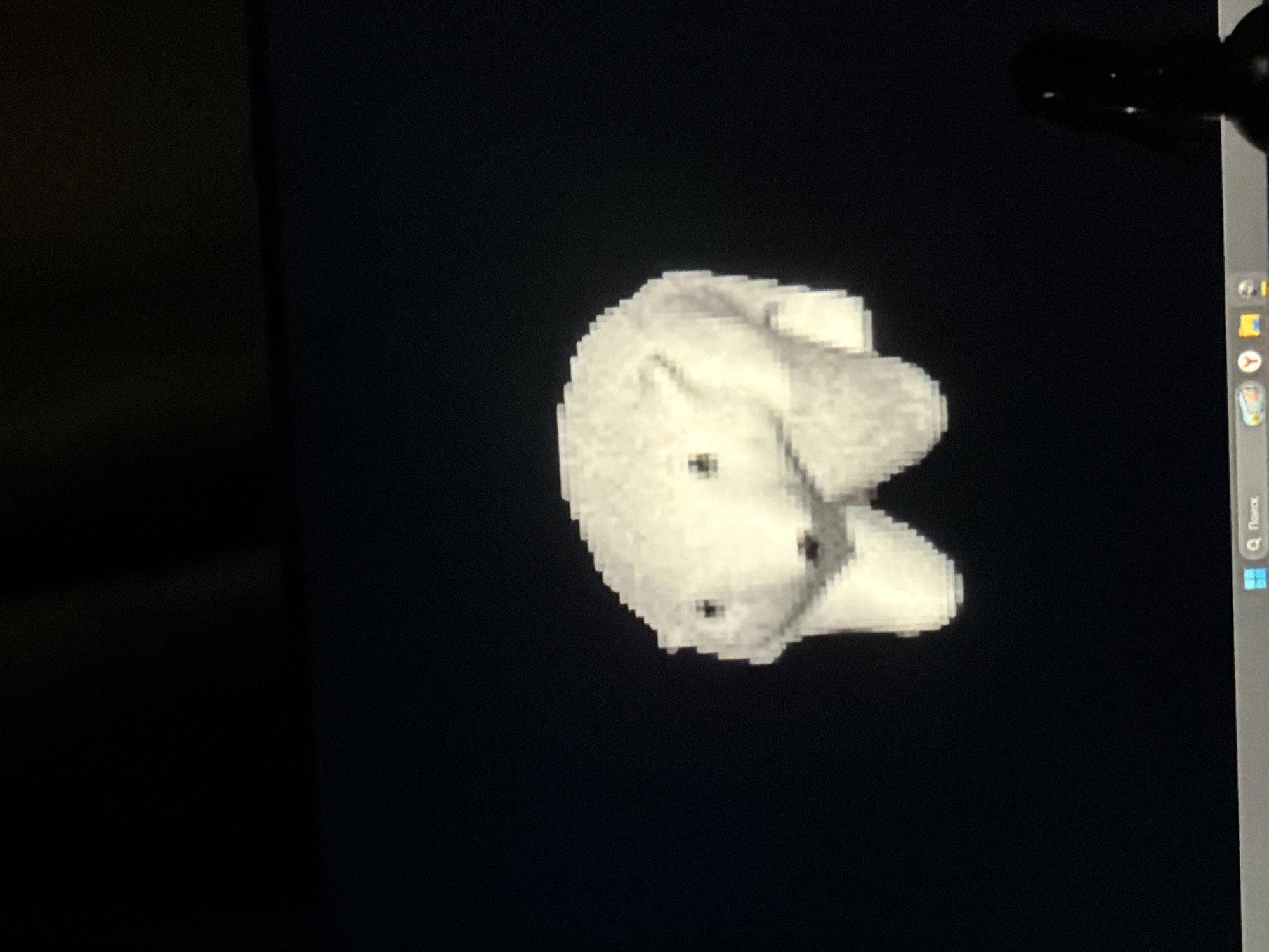 A digital image displayed on a monitor against a black background, showing what appears to be a white polar bear cub curled up in a ball. The image of the cub is pixelated. The location is not discernible from the image.